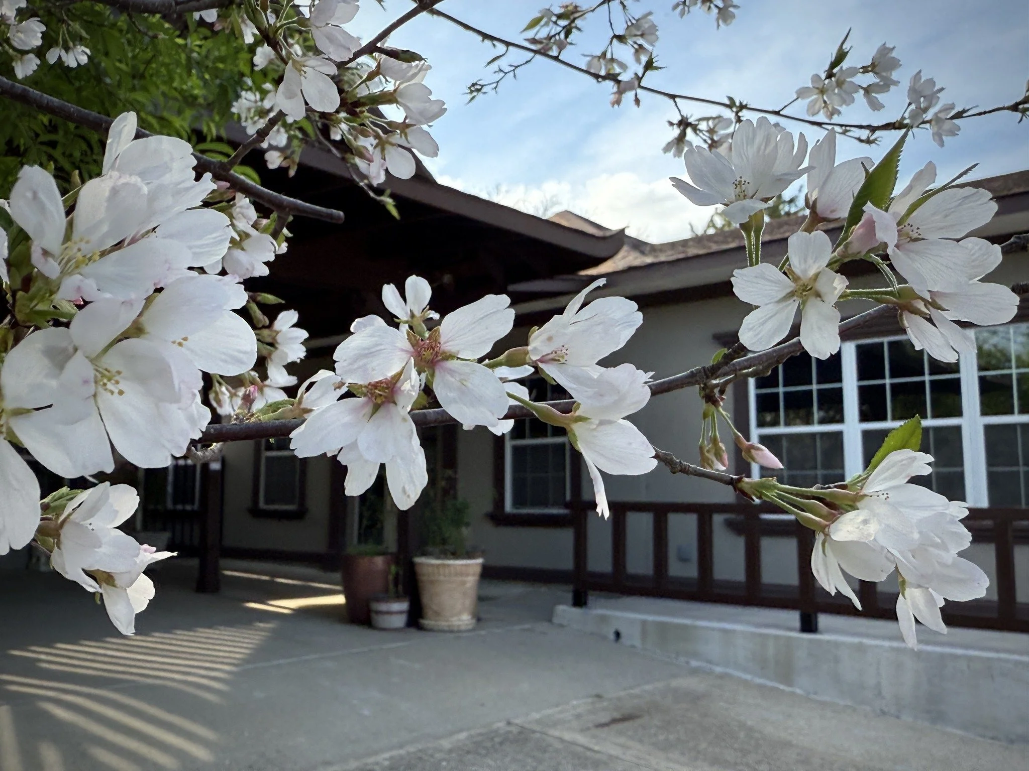 Friday Night Meditation