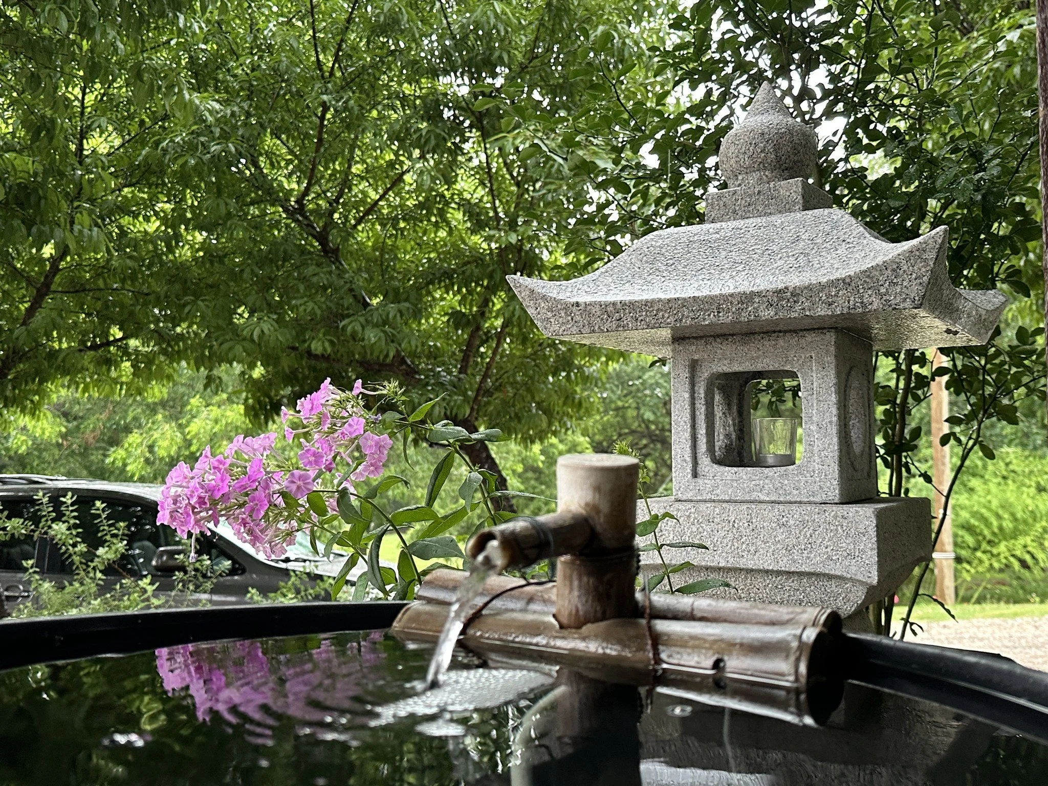 Friday Night Meditation