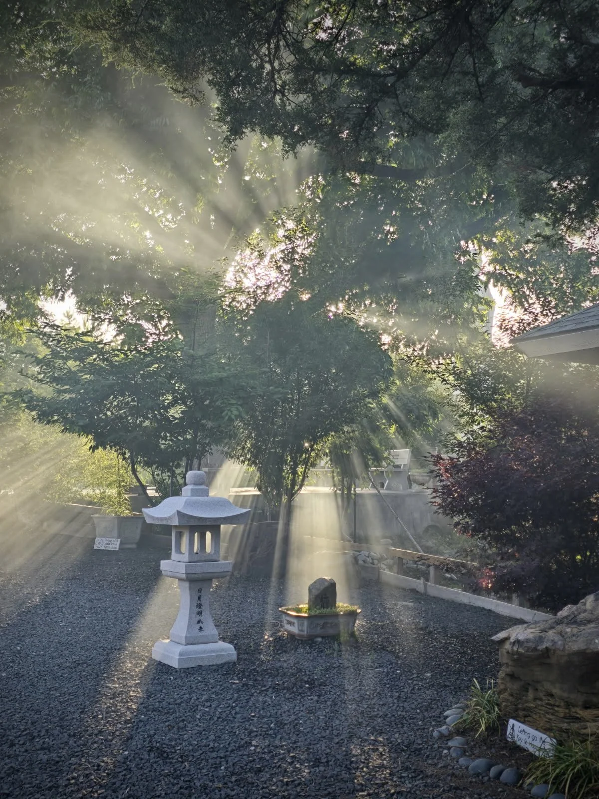 Friday Night Meditation