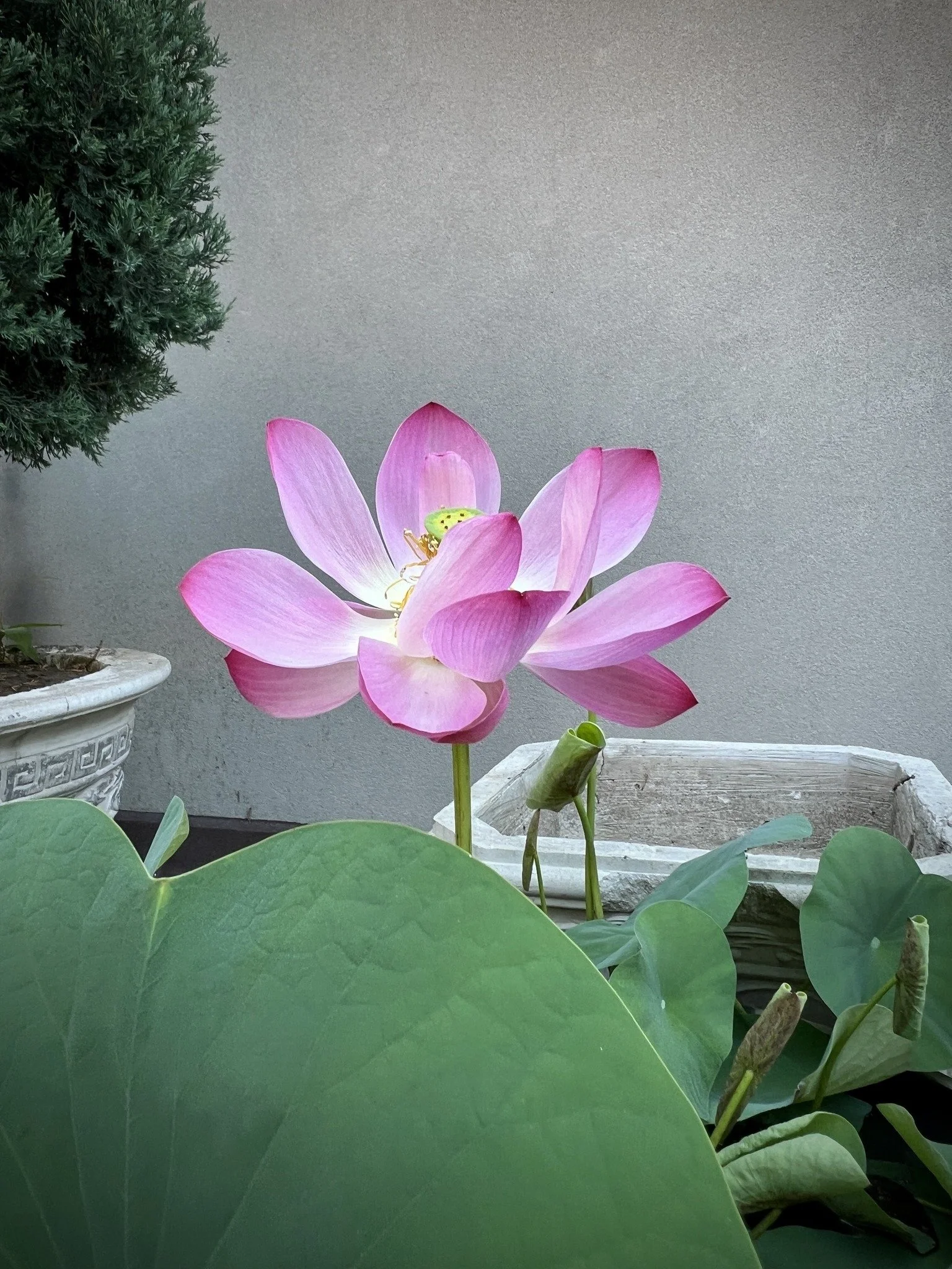 Friday Night Meditation