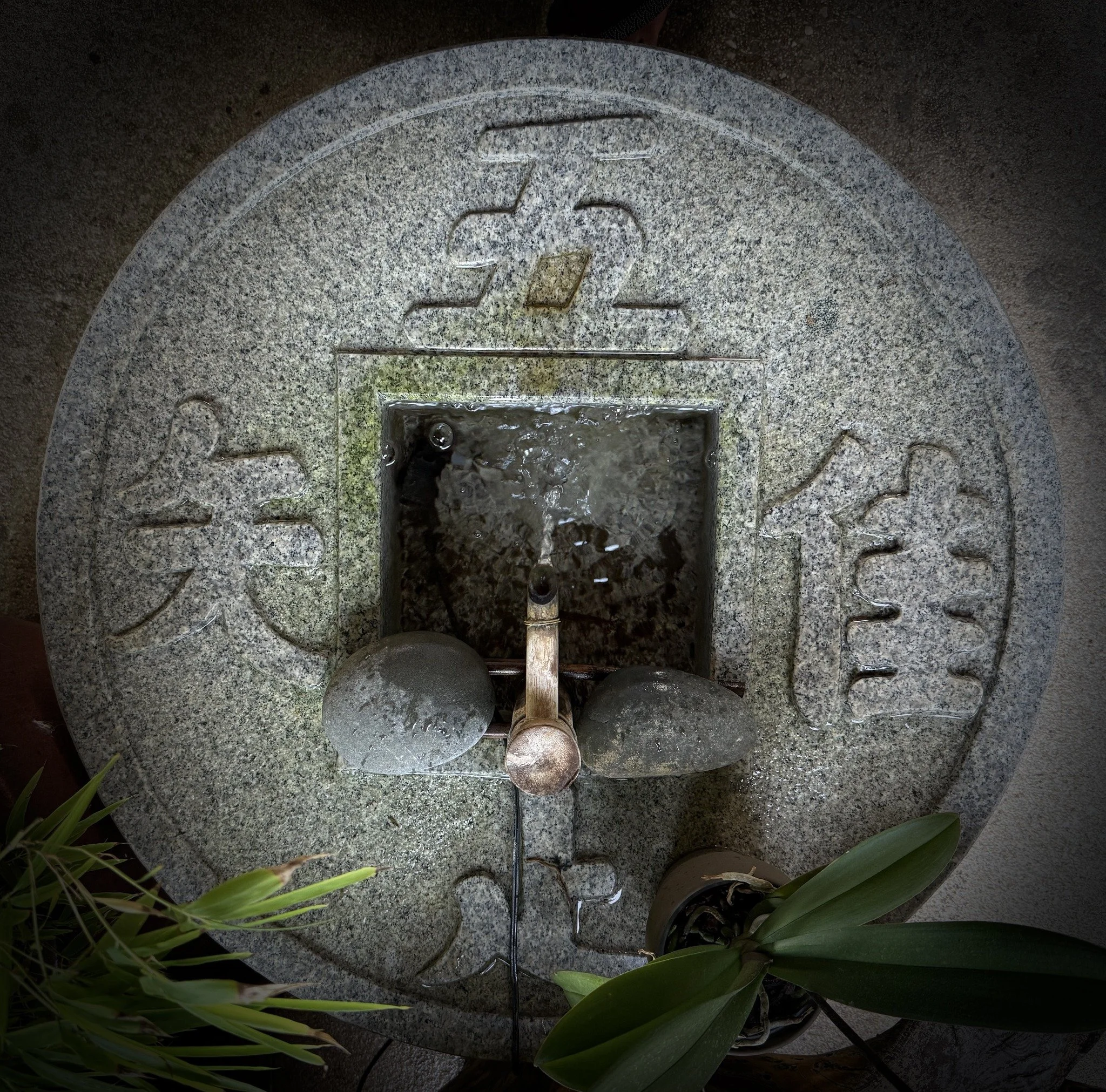 Friday Night Meditation