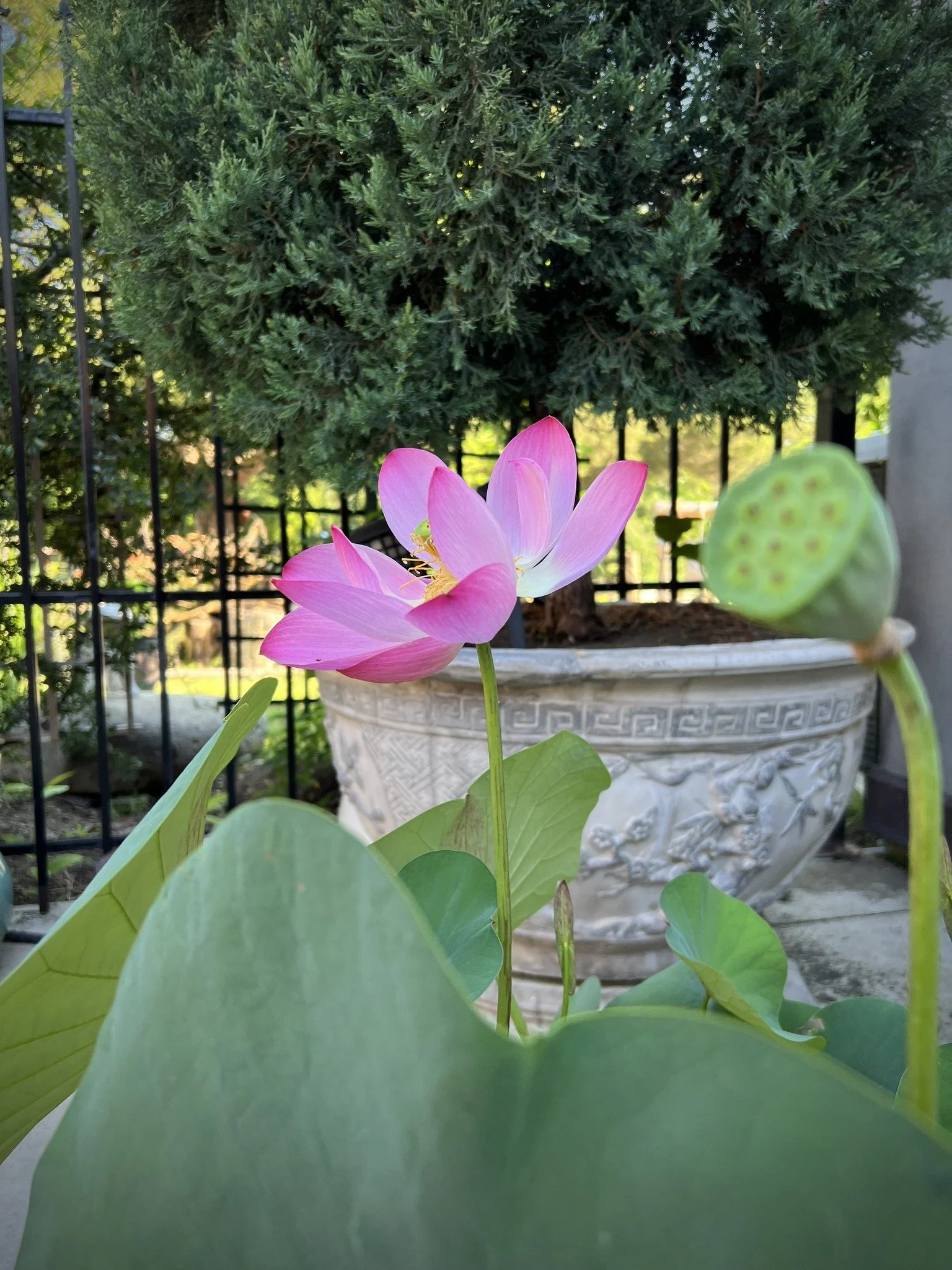 Friday Night Meditation