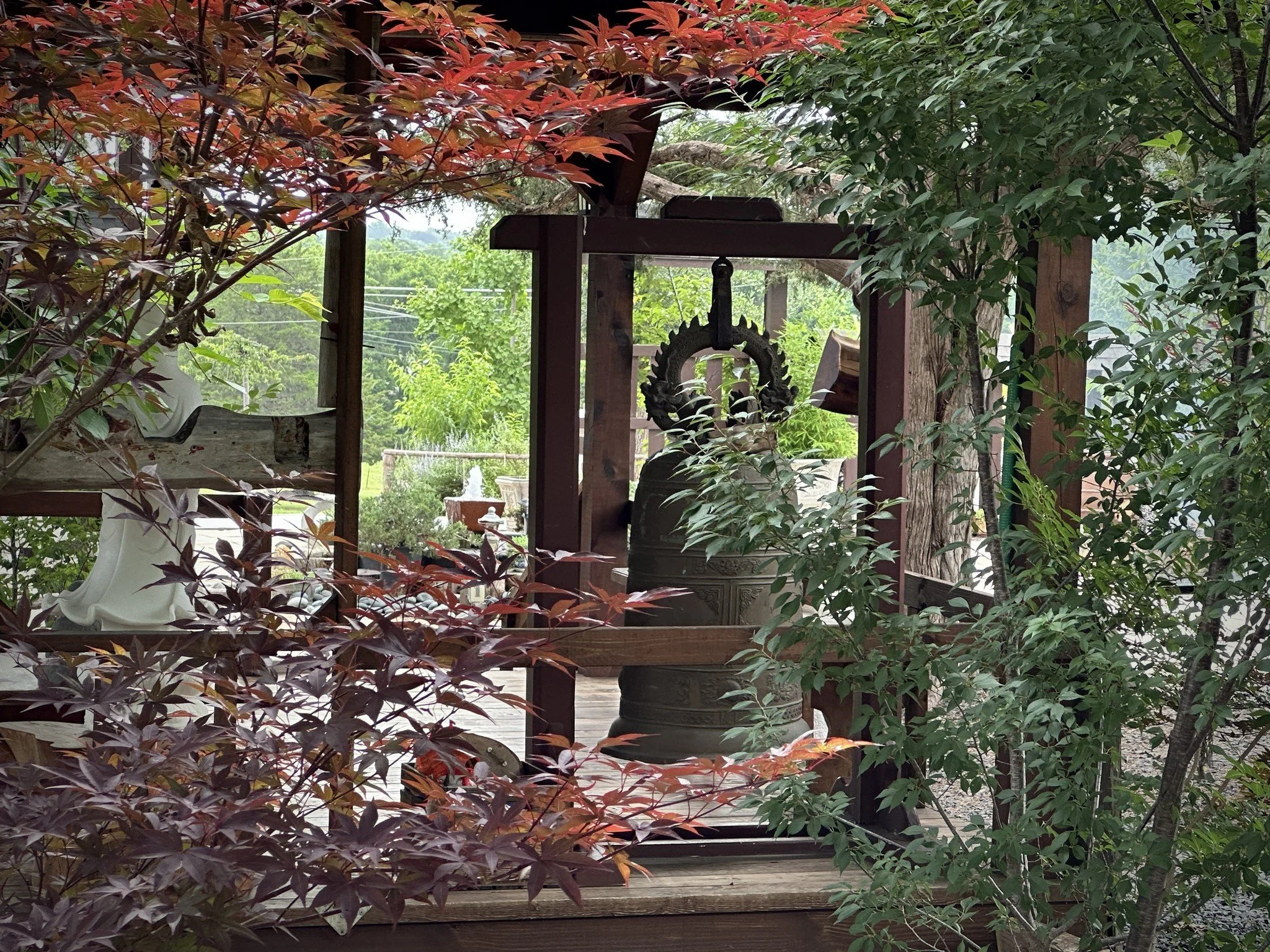 Friday Night Meditation