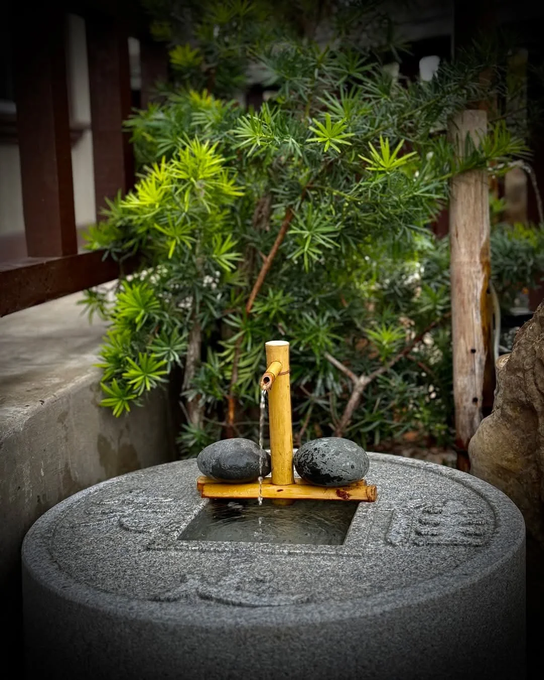 Friday Night Meditation