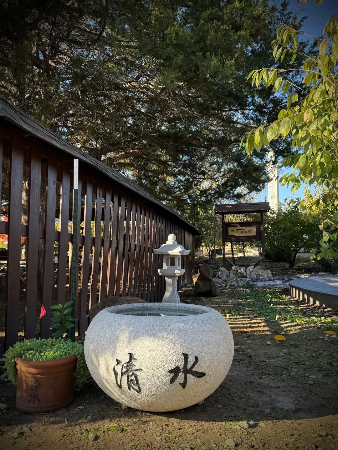 Friday Night Meditation