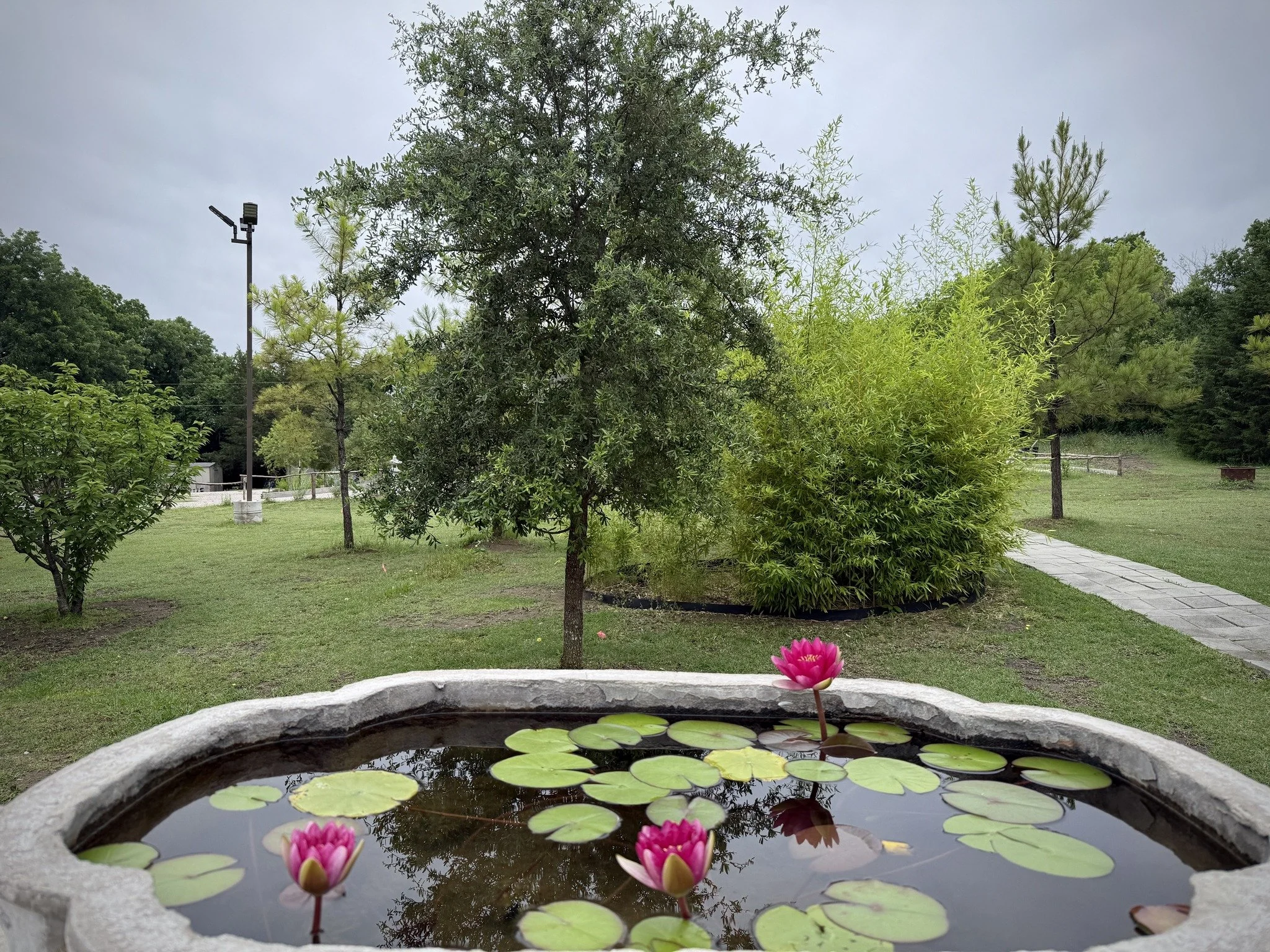 Friday Night Meditation