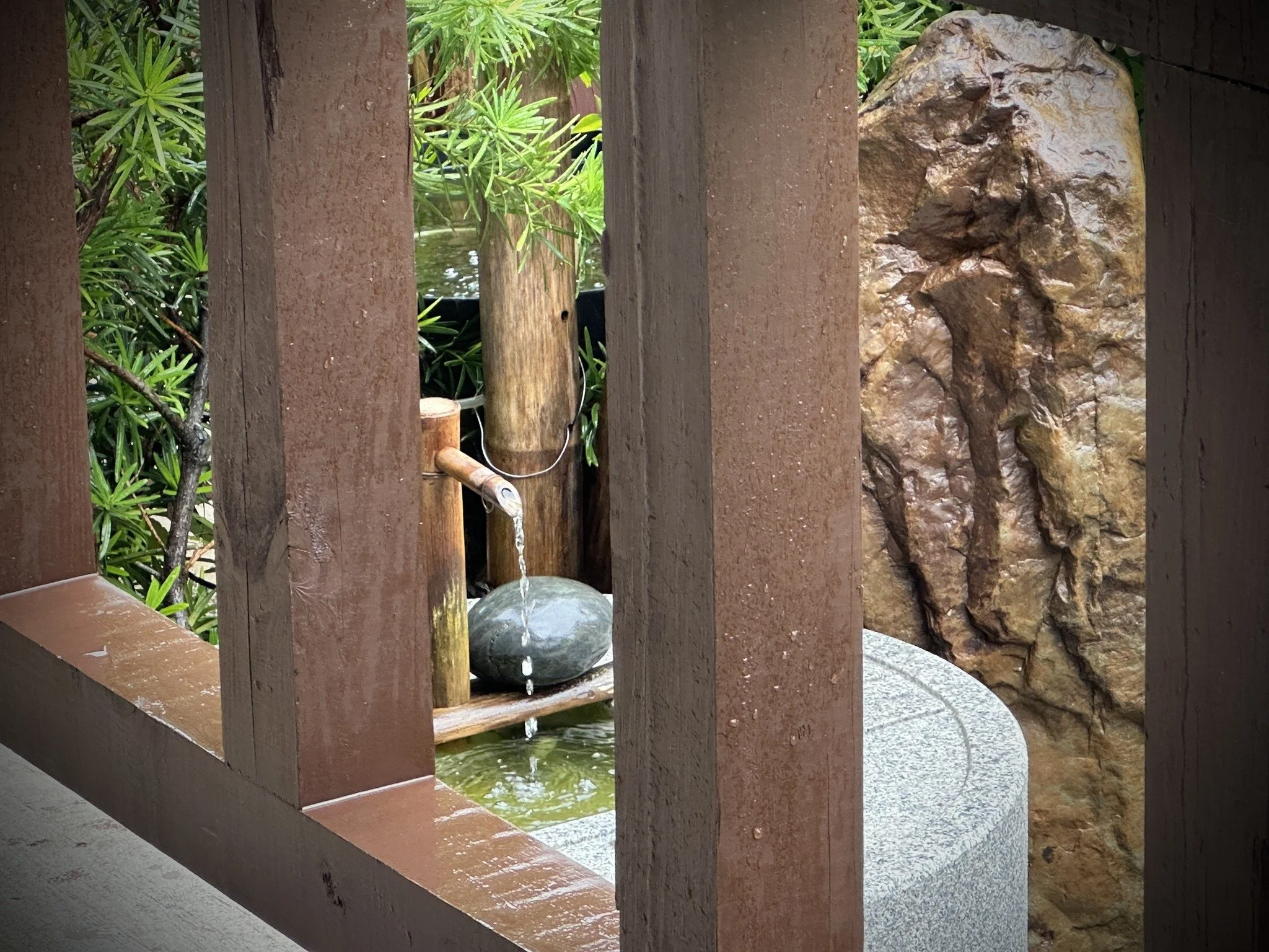 Friday Night Meditation