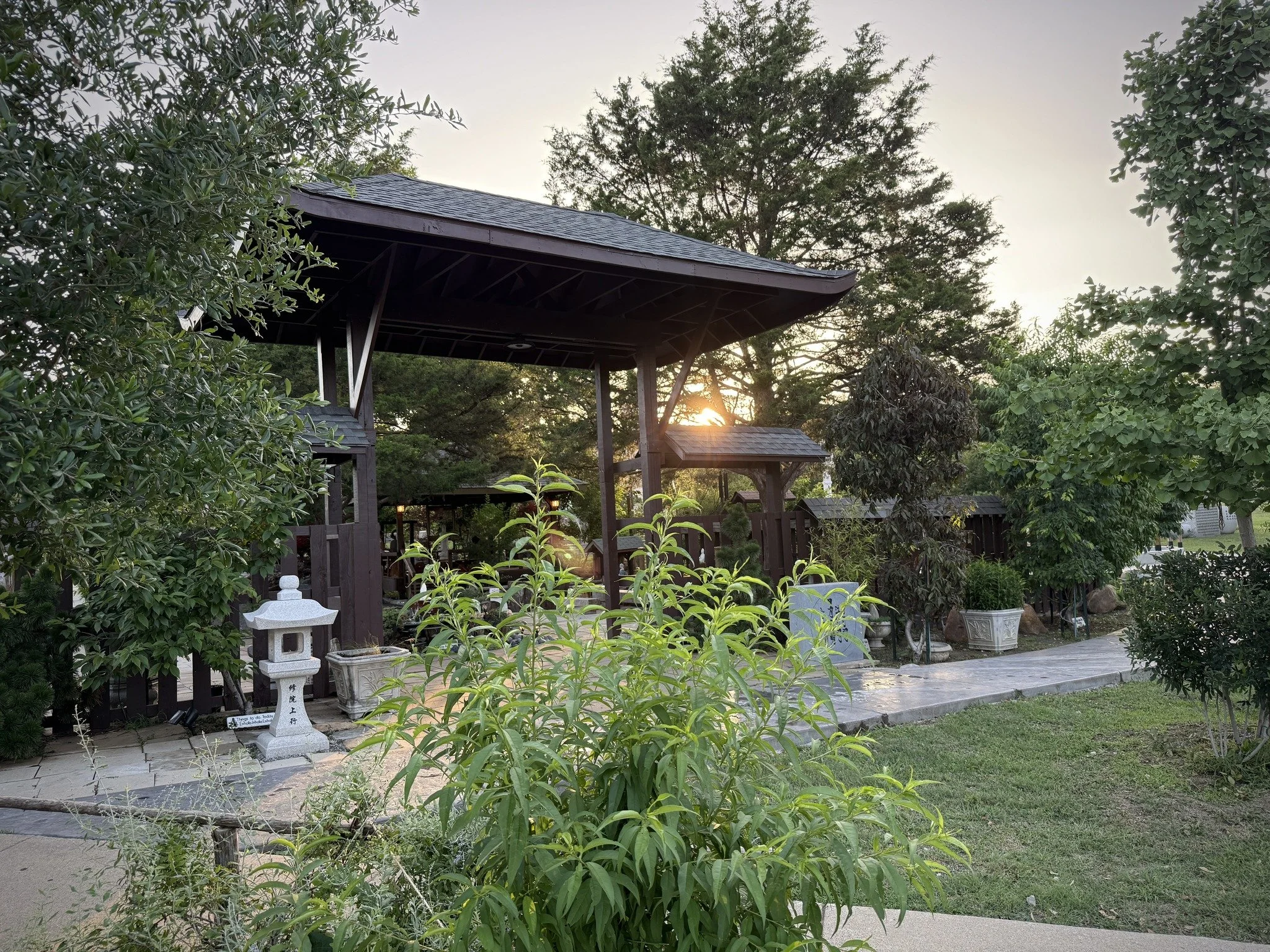 Friday Night Meditation