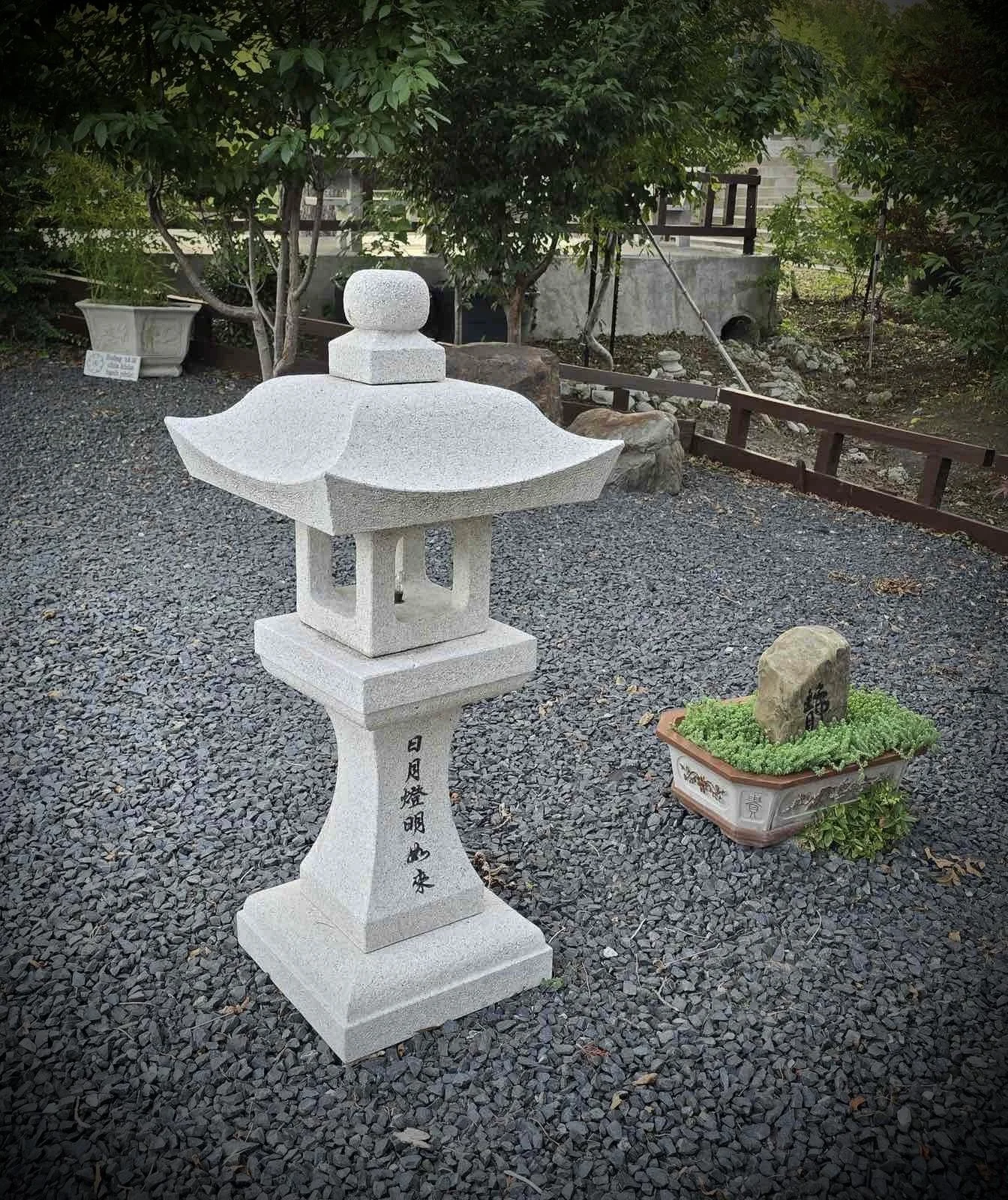 Friday Night Meditation