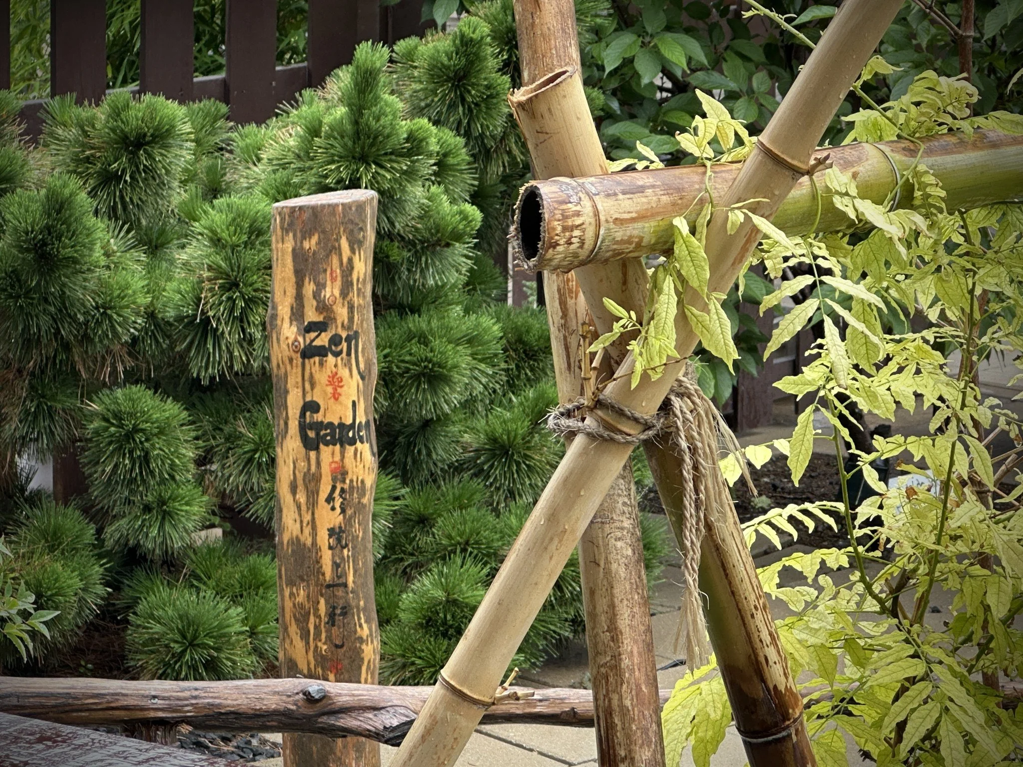 Friday Night Meditation