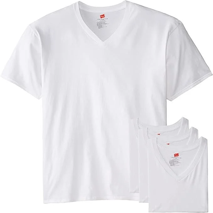 Hanes Men's V-Neck T-Shirt.jpeg