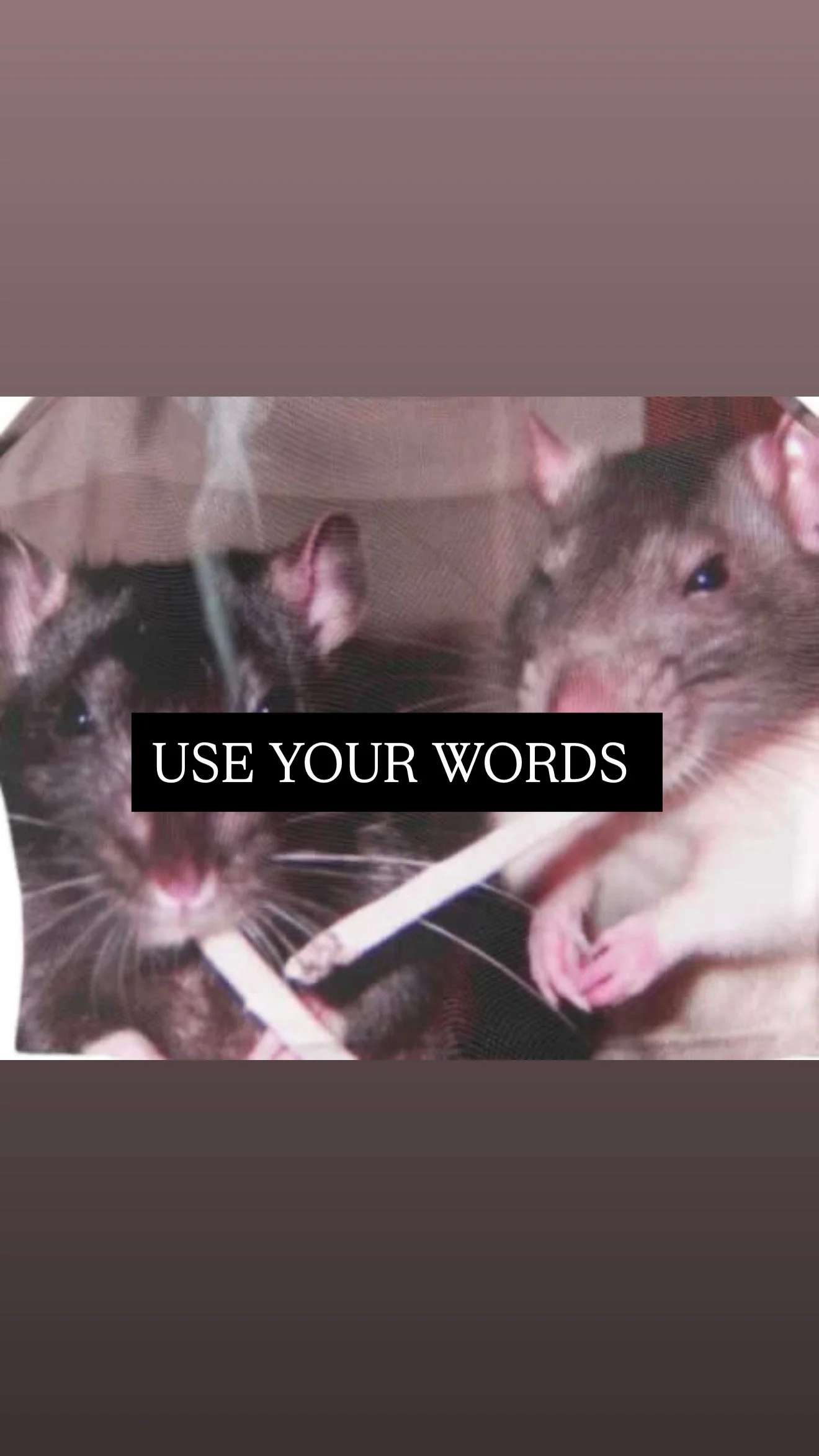 84A91AF0-CCF0-498B-83AE-D1D3B045CFCB.JPG