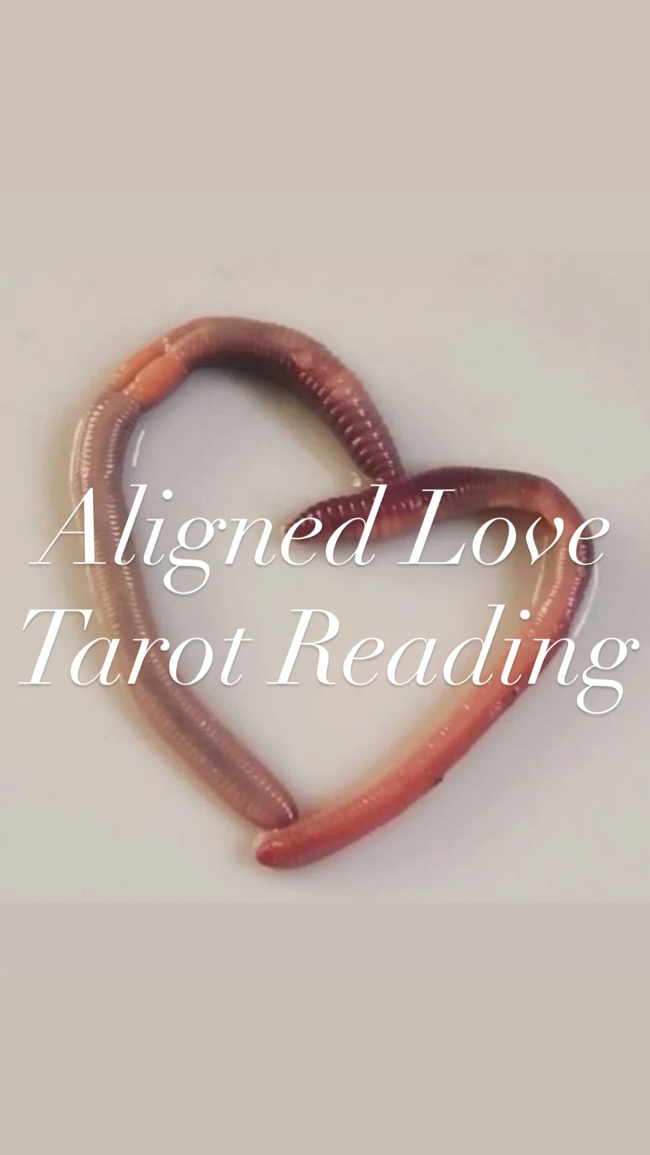 Aligned Love ( Avail only now - Feb 16 )