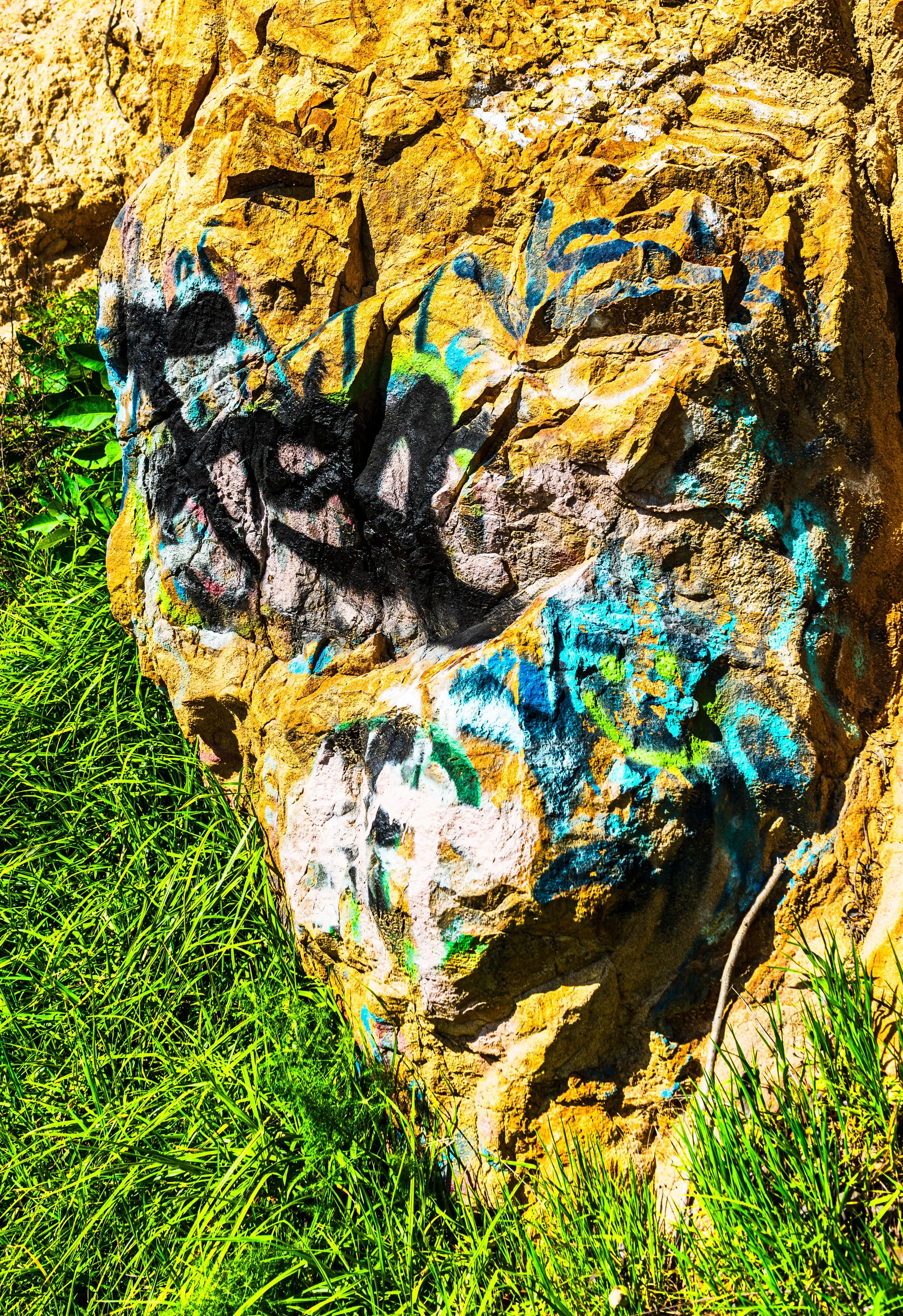Grassy Graffiti. 1.jpg