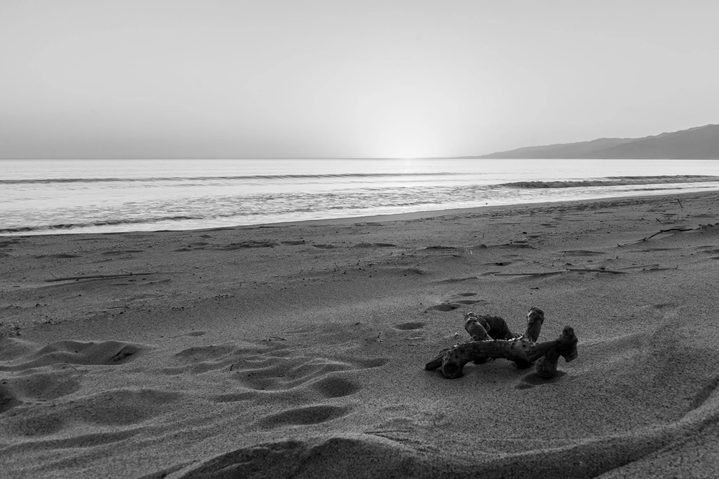 Beach b&W.jpg