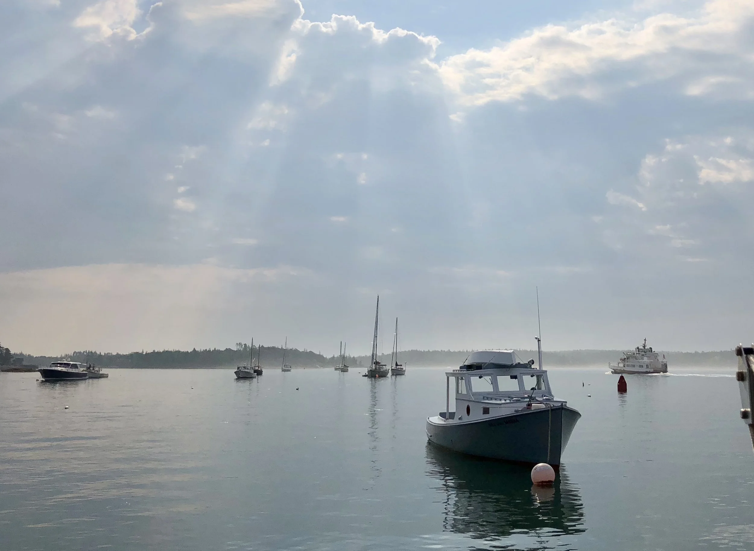 IMG_3016.jpeg
