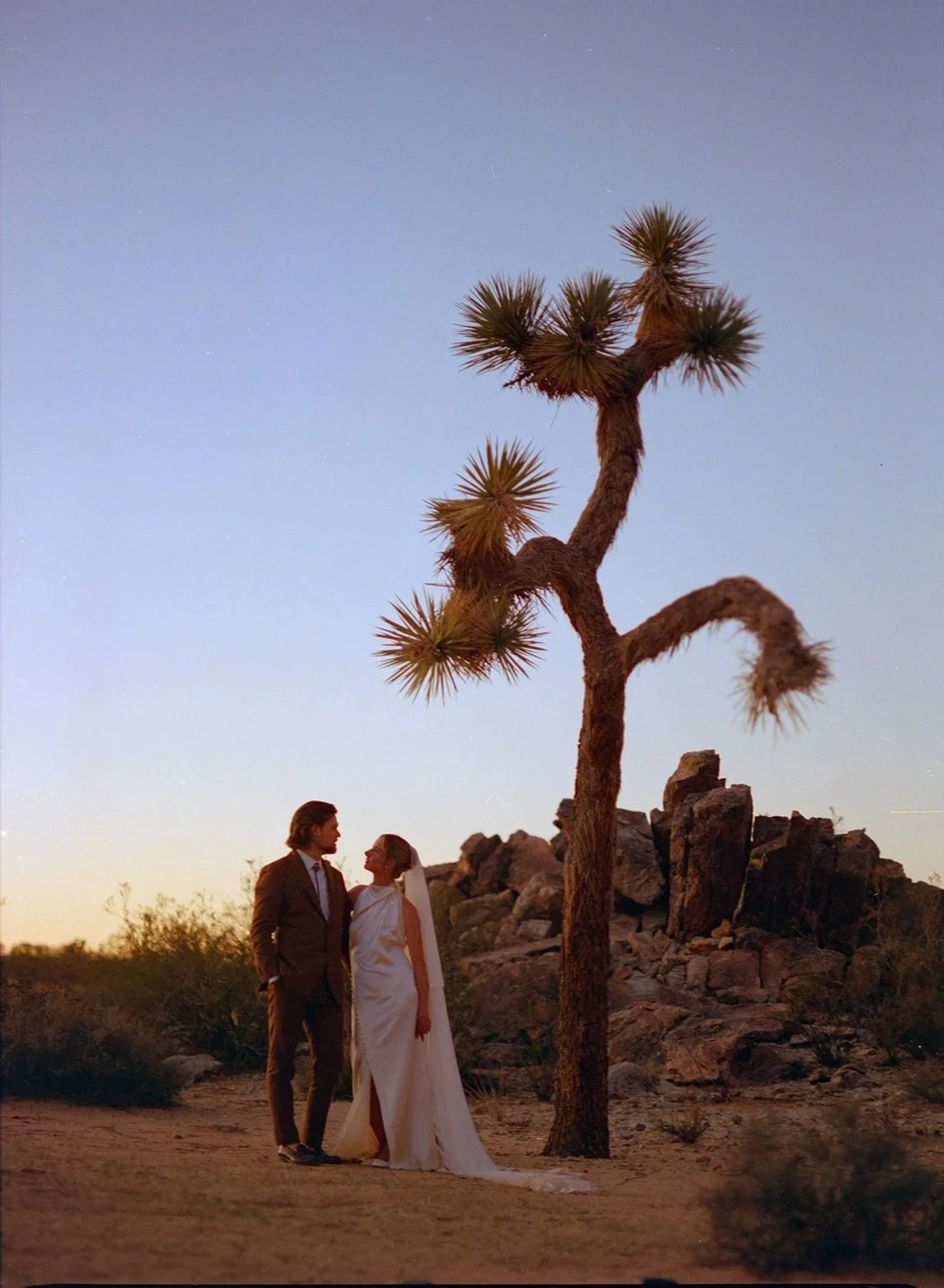 A bride and groom standing together in a desert landscape with a desert plant and rocks, under a twilight sky.