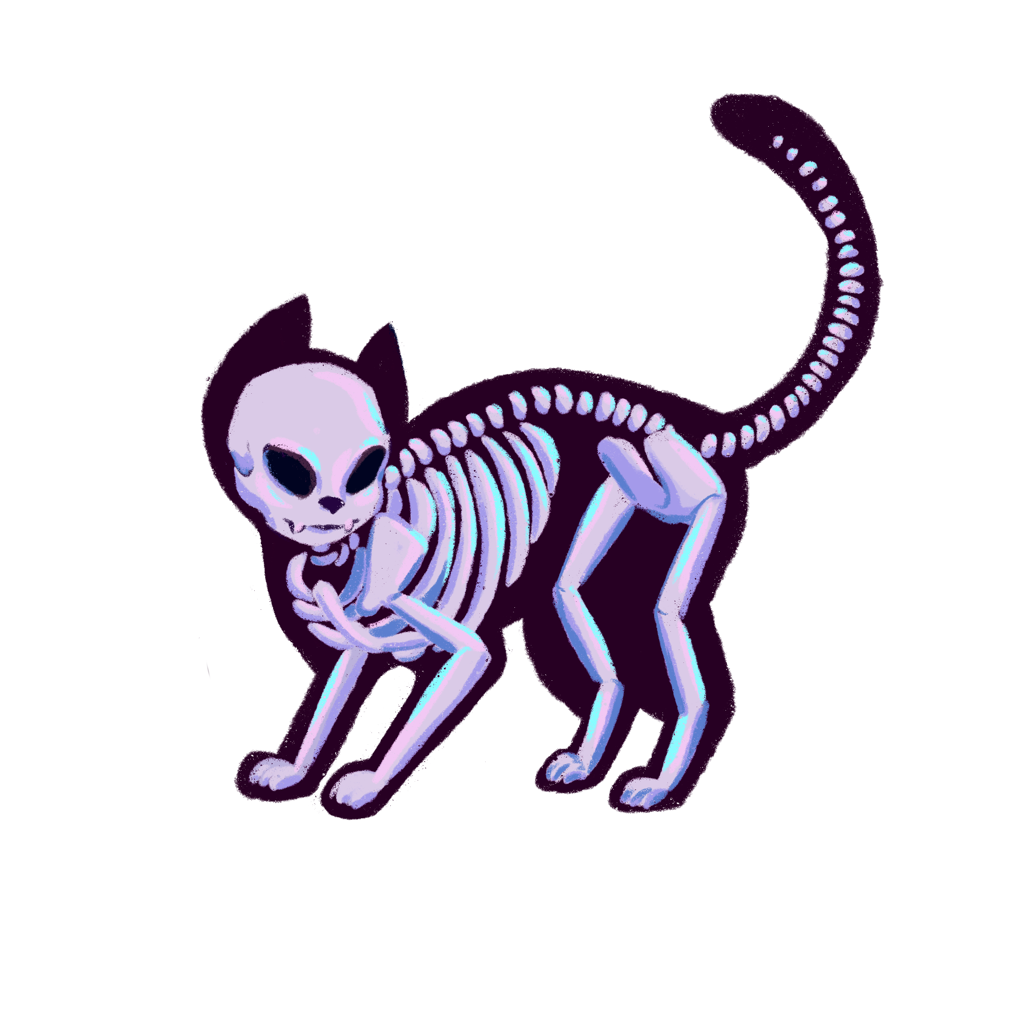 Cat 2.png