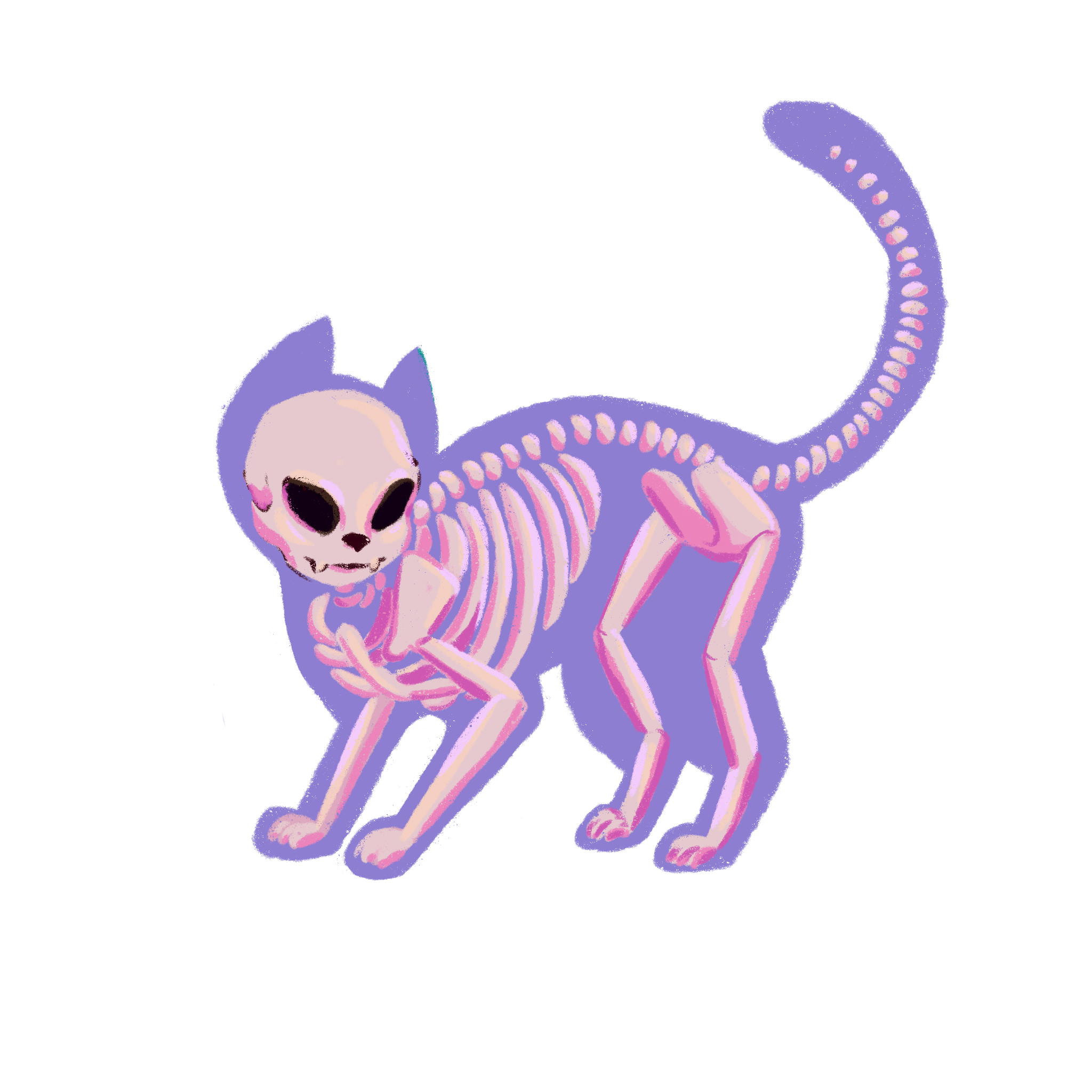 Cat 1.png