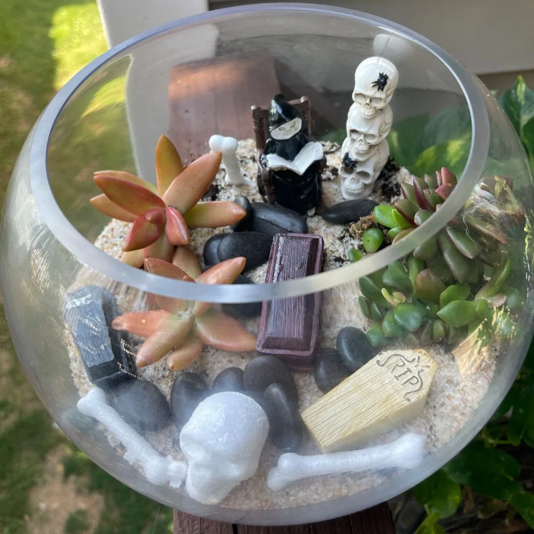 cemetery terrarium workshop.jpg