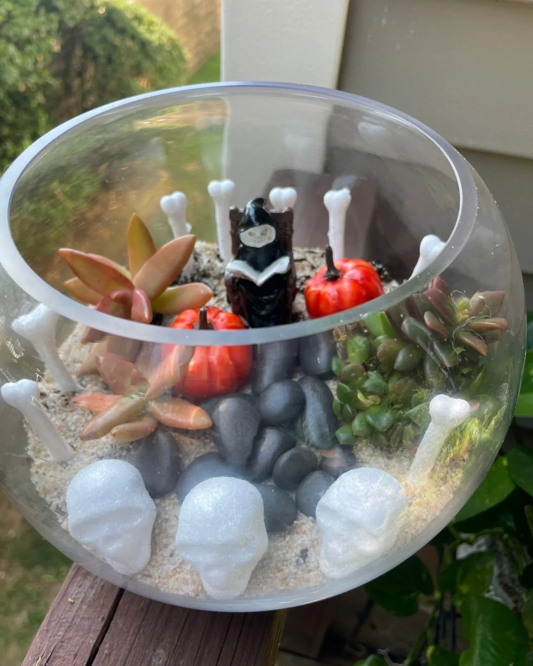 Just a little Grim Reaper reading in my bone garden 📚

Real succulents + cute accessories = cemeterrariums 

Wanna make your own? 
Now booking! You know the drill, go check out the website.