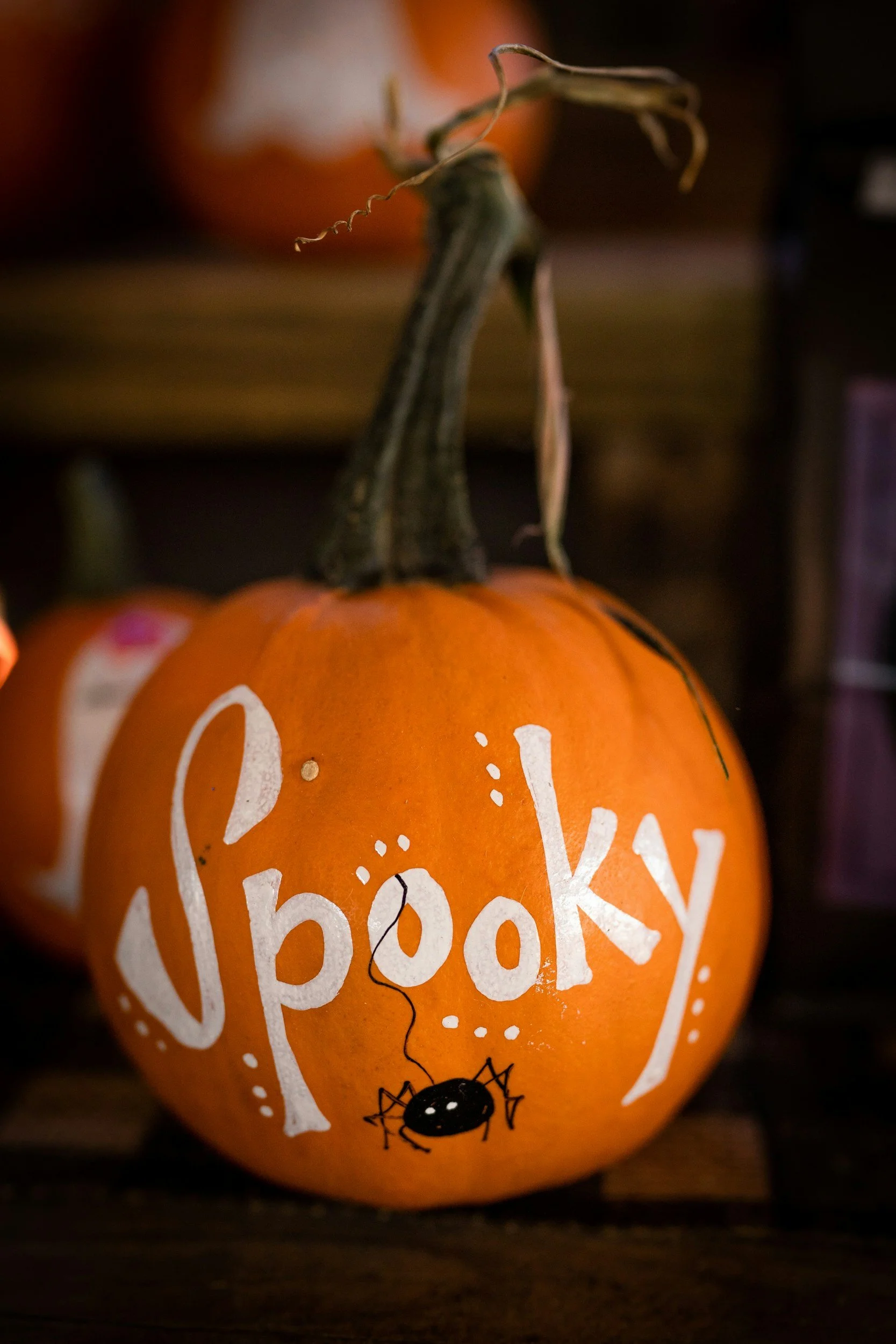 unsplash-image-BCplm9RwAW0.jpg