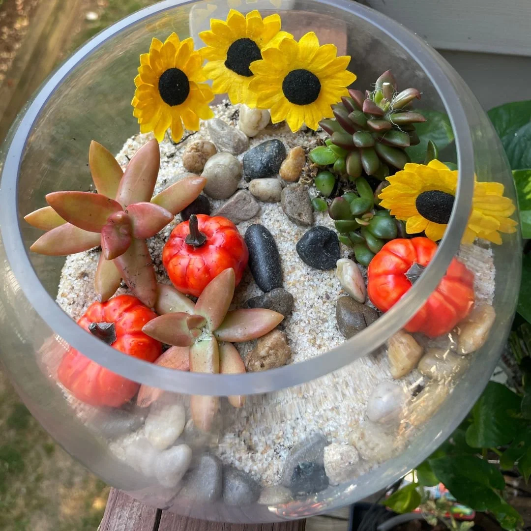 cemeterrarium workshop.jpg