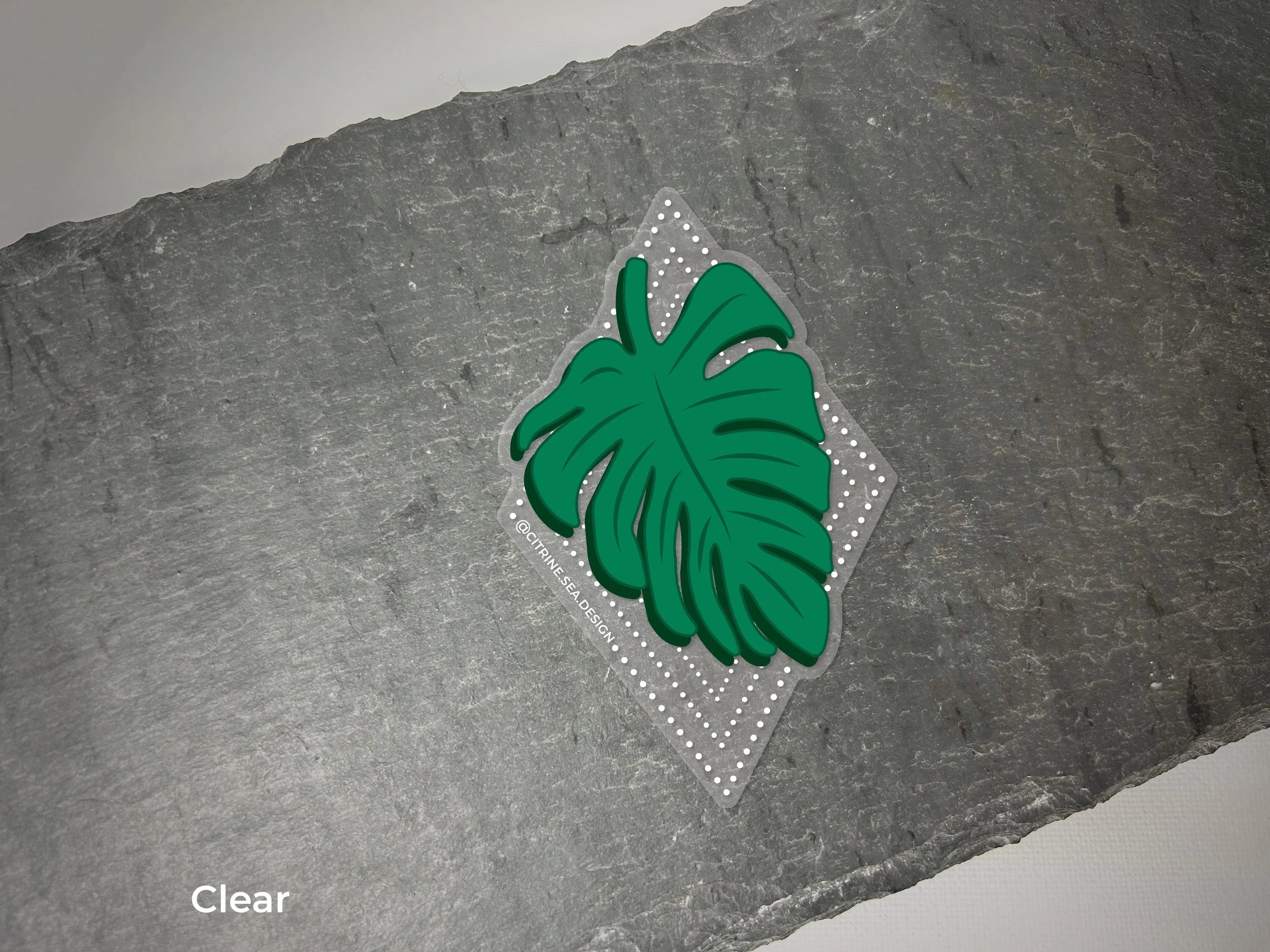 BotanicalStickerMonsteraClear.jpg