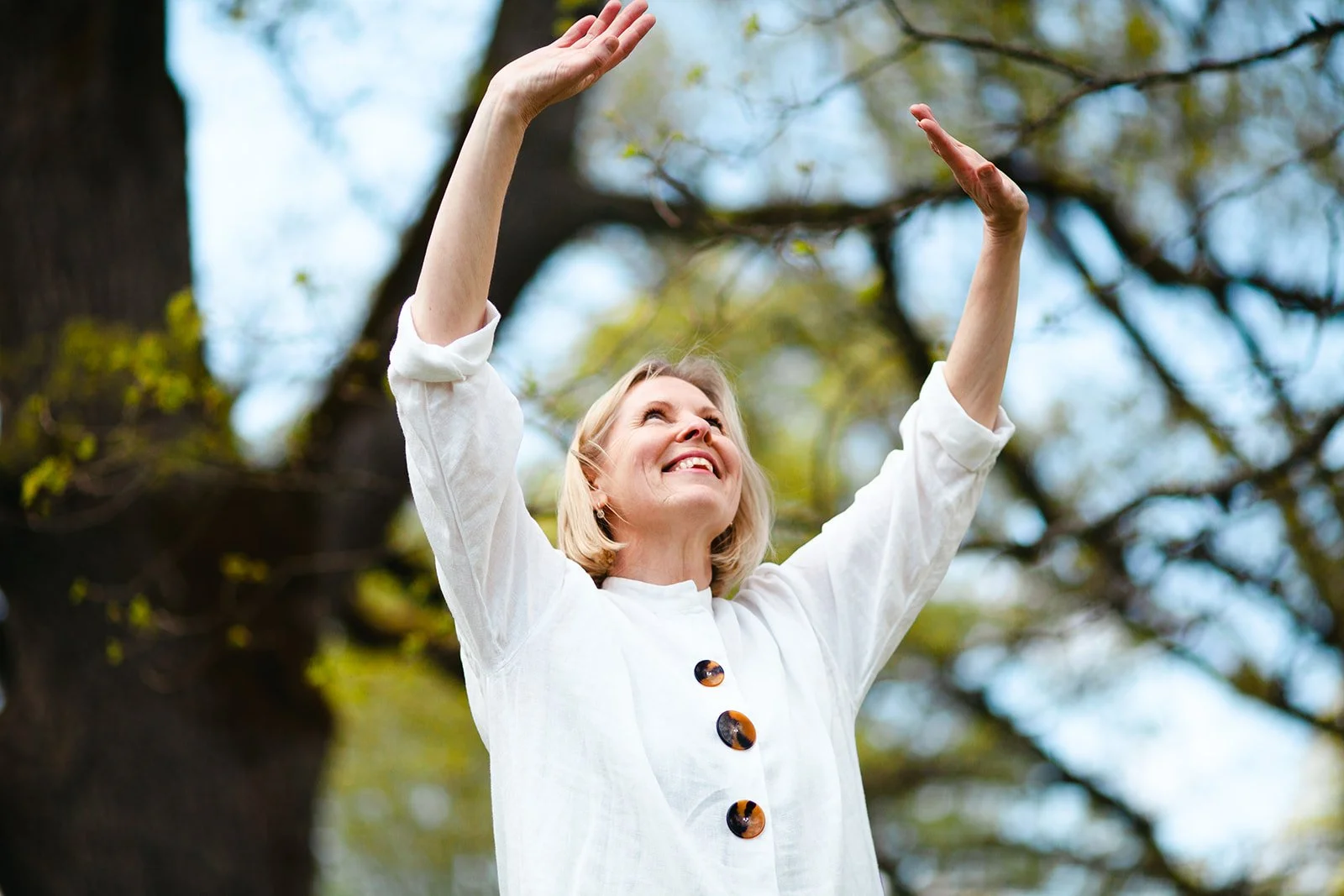 Fem element och 5 Zang