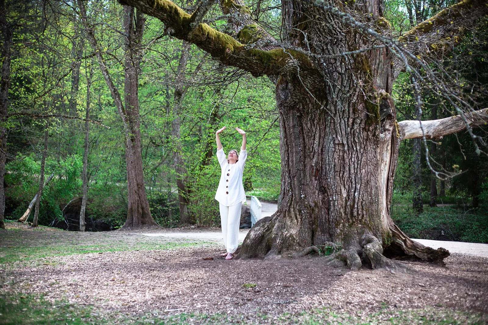 Energi övningar för hälsa 