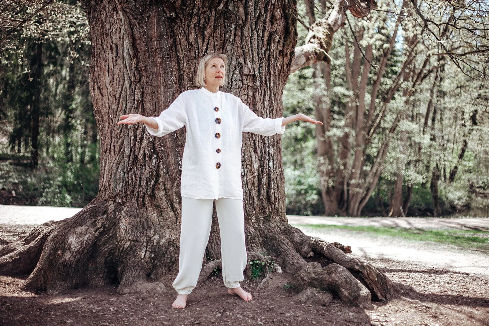 Qigong online