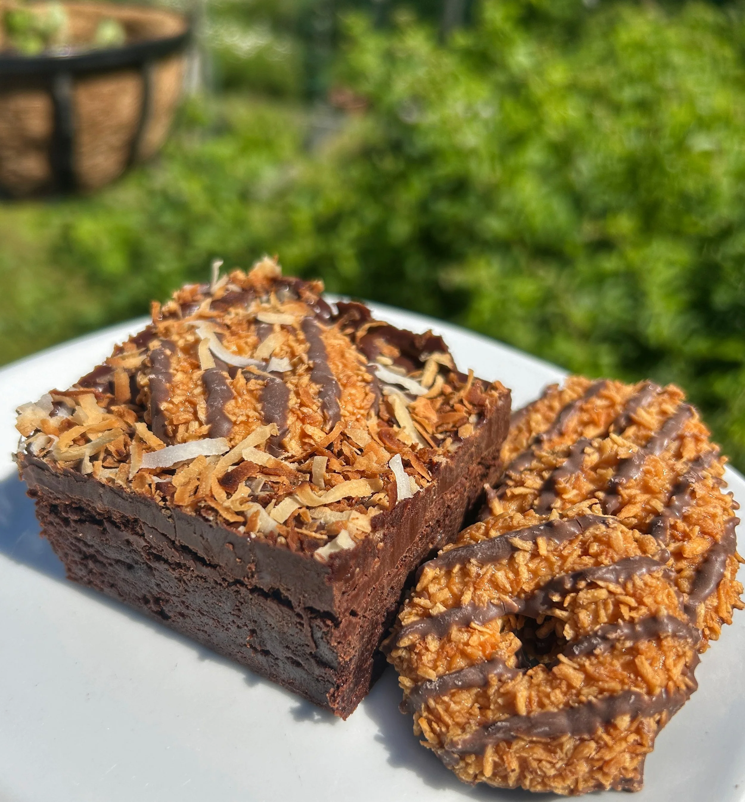 Coconut Delight Brownie