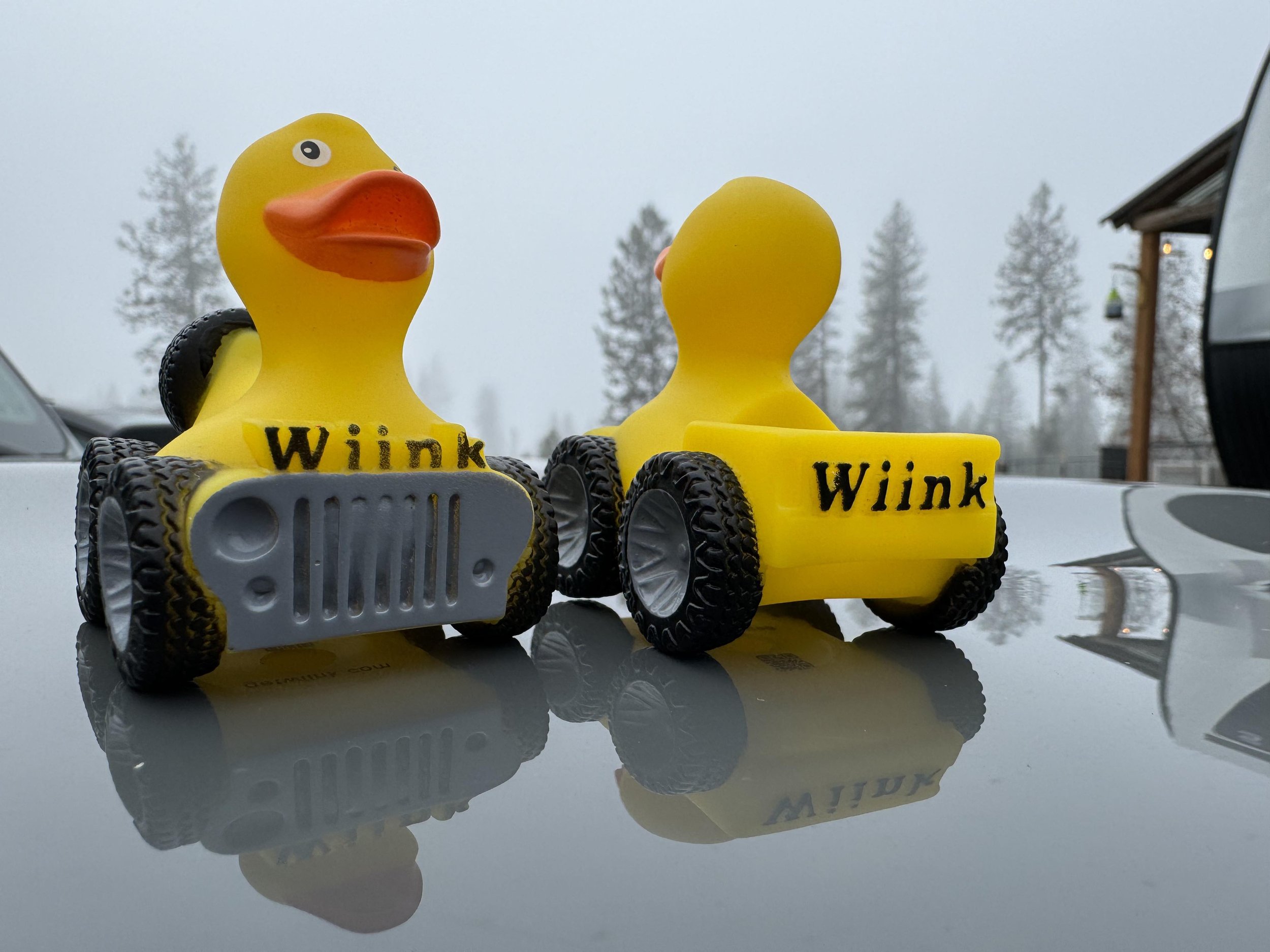 Wiinkie-7.jpeg