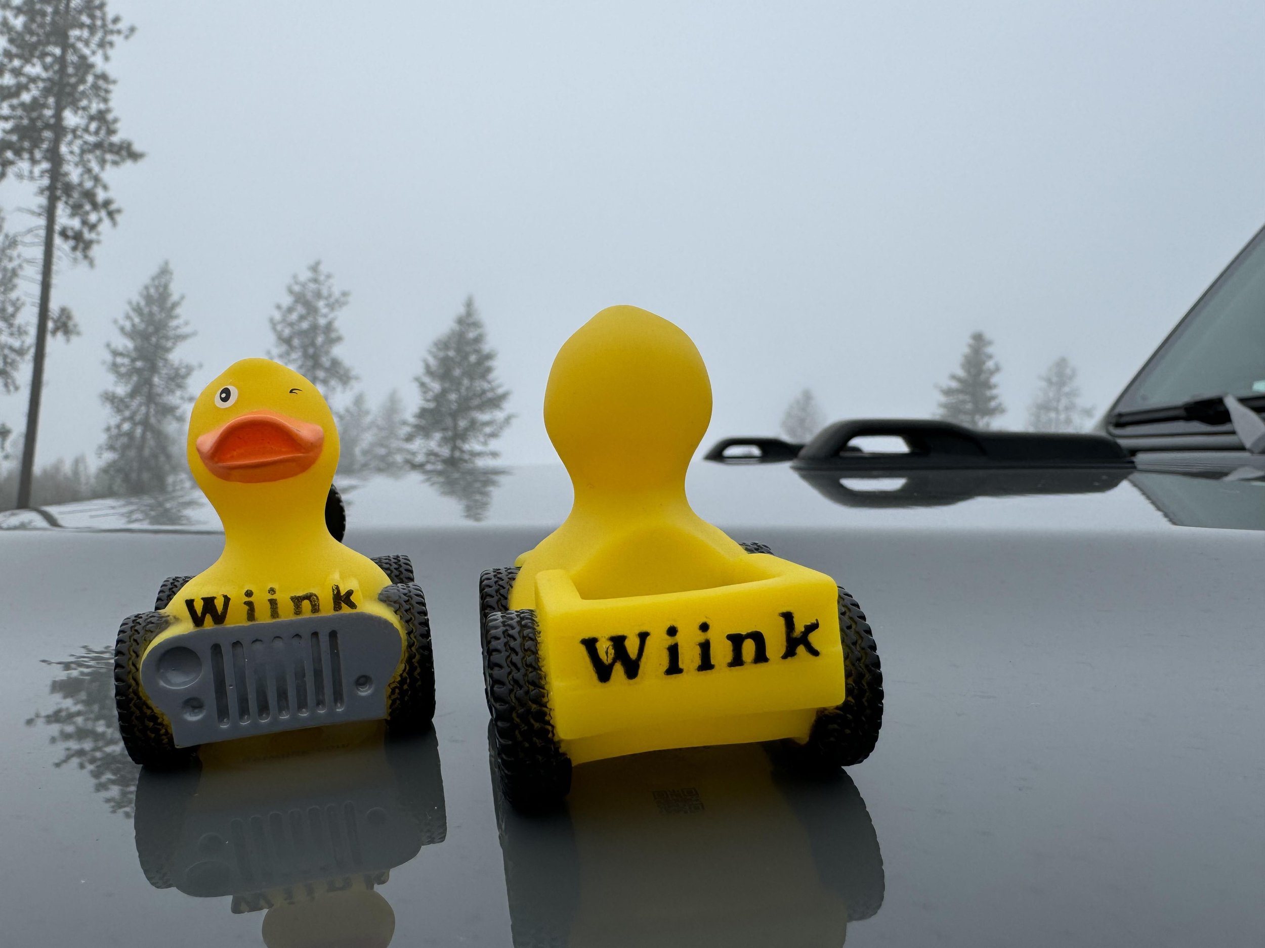 Wiinkie-3.jpeg