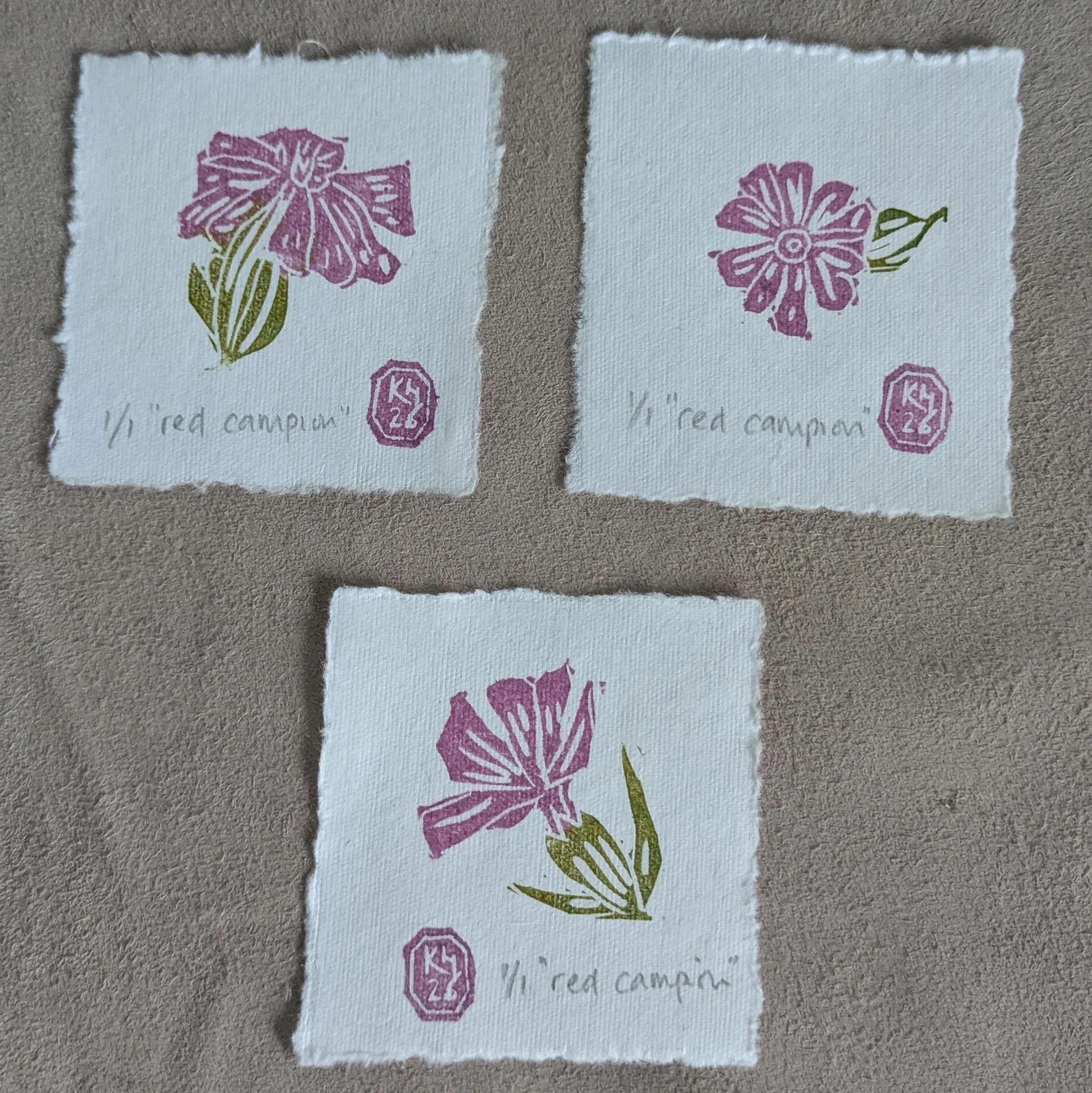 Red Campion - original monoprint lino print miniprint
