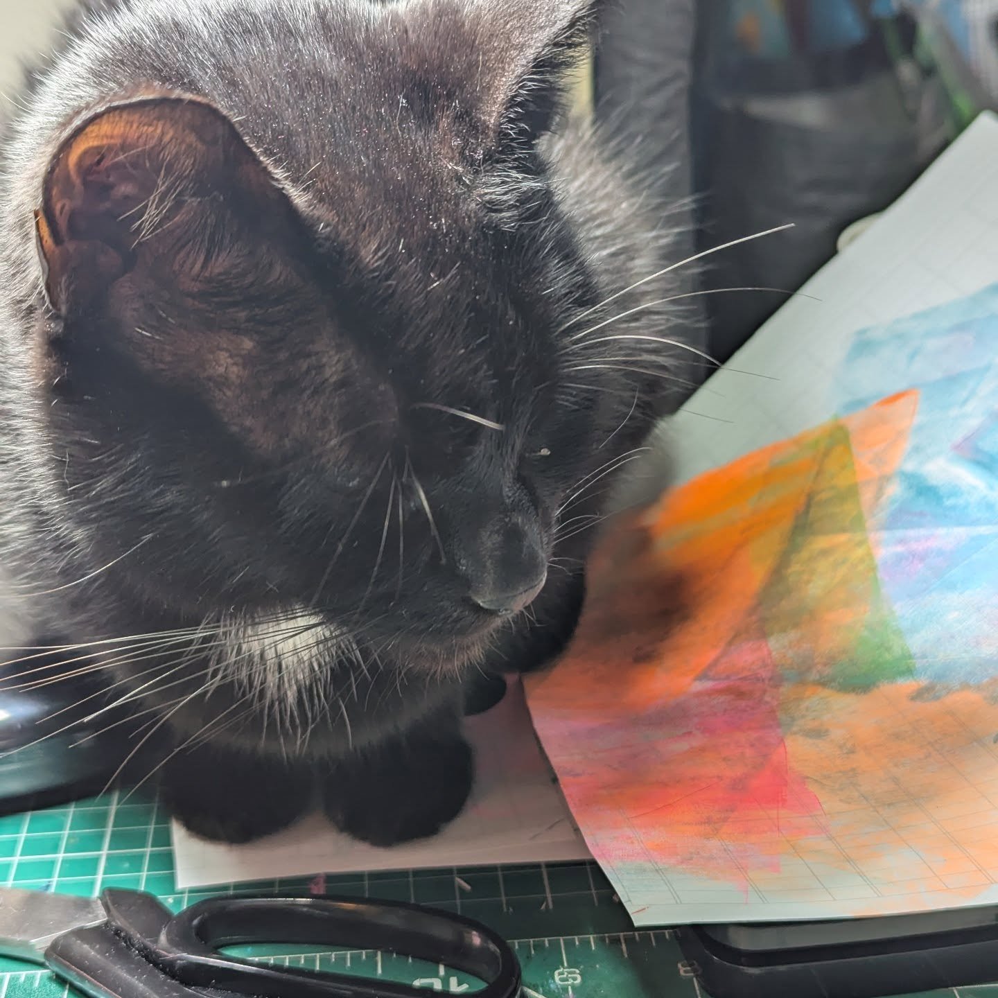 Never fear, I will guard your collage papers closely and make sure no fiend steals them... And you can totally trust me with those scissors... 

#blackcat #collagefodder #catinstudio