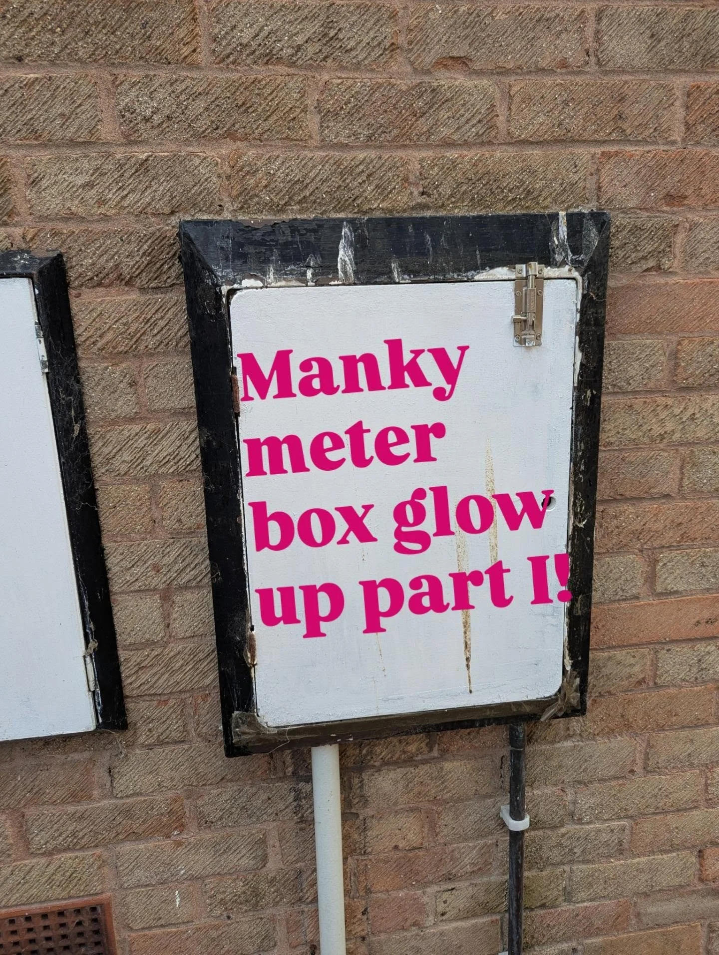 I've been walking past those grotty meter boxes for 3 months now and realised that I a) have exterior paint, b) have free will and c) am an artist so why not use them as a canvas. 

Follow along for the glow up! 

#housedecor #whimsy #dopamineart