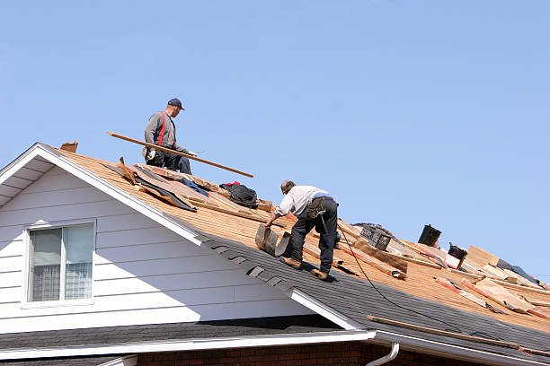 istockphoto-183302442-612x612.jpg