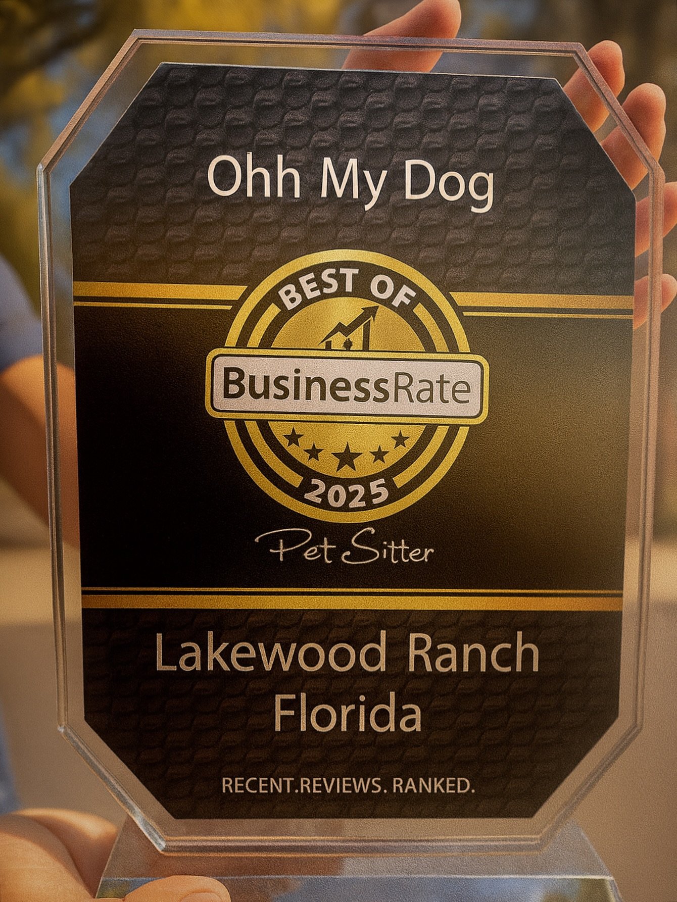 #bestof2025 #petsitters #dogboarder #lakewoodranchfl #sarasotafl #ohhmydogsrq #floridasbest #honorablemention #dogsoflakewoodranch #dogmom #dogdad #srqdogs #dogwalkingservices #professionalpetsitter #enrichmentfordogs #healthyhound #prancingpaws #sma