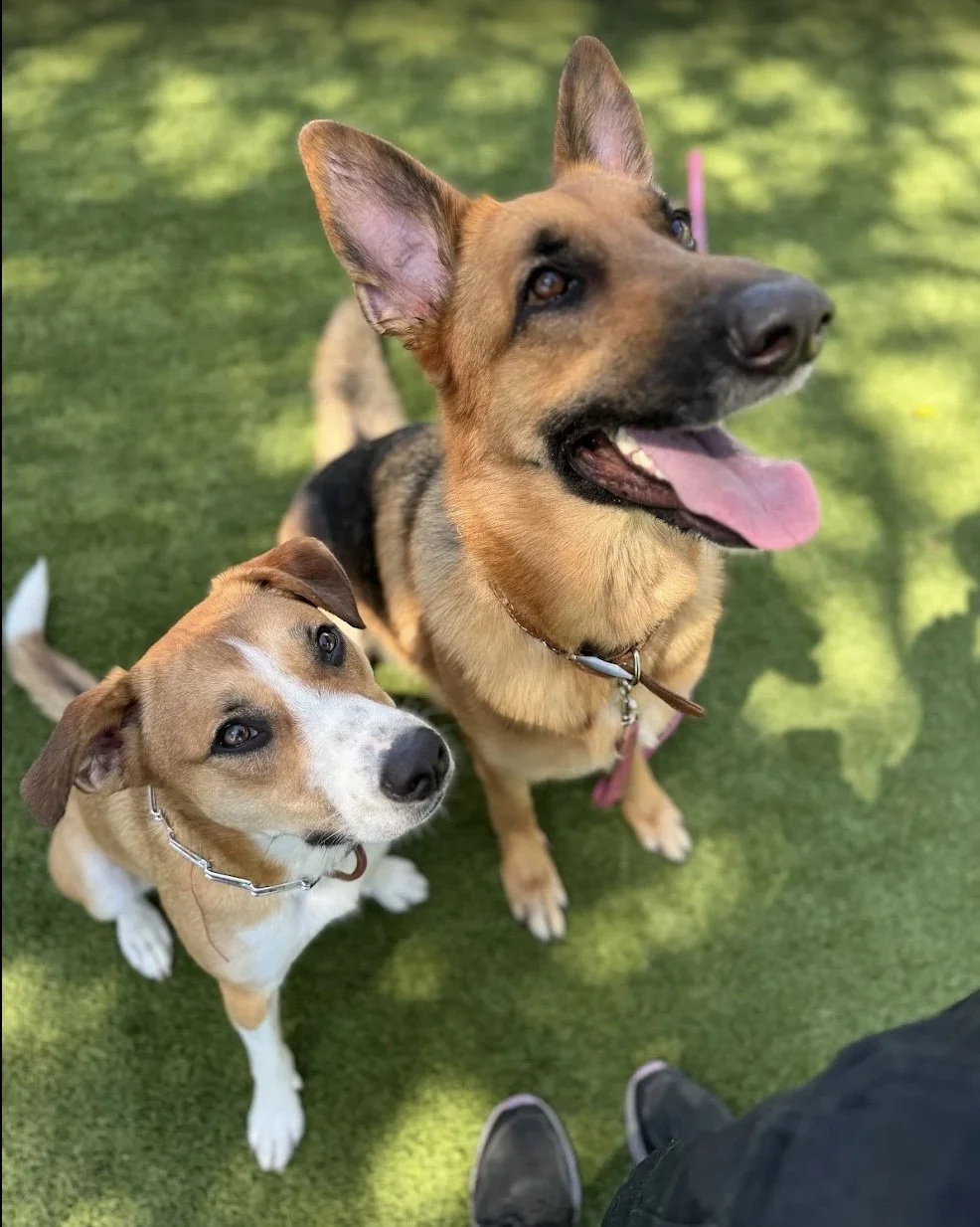 Image 7-27-25 at 4.57 PM.jpeg