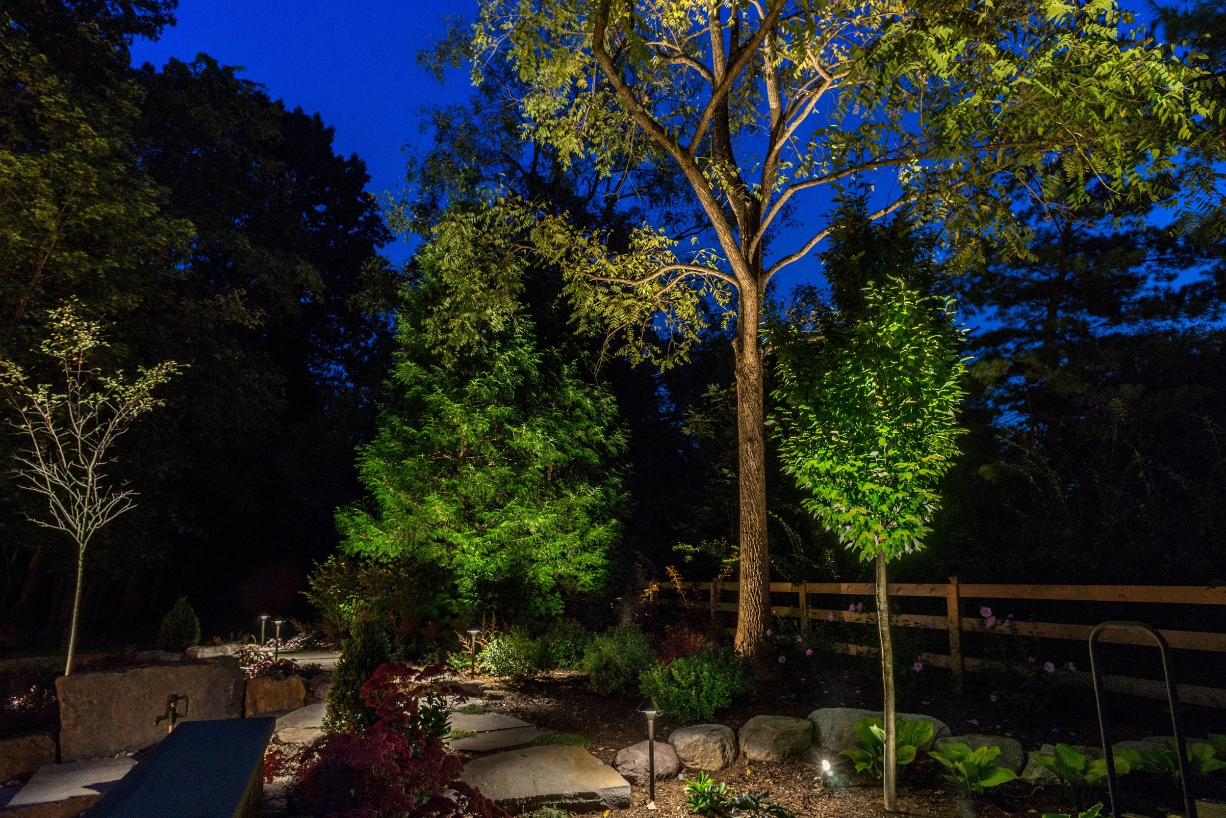 Coastal Source Hammered Path + Uplights.jpg