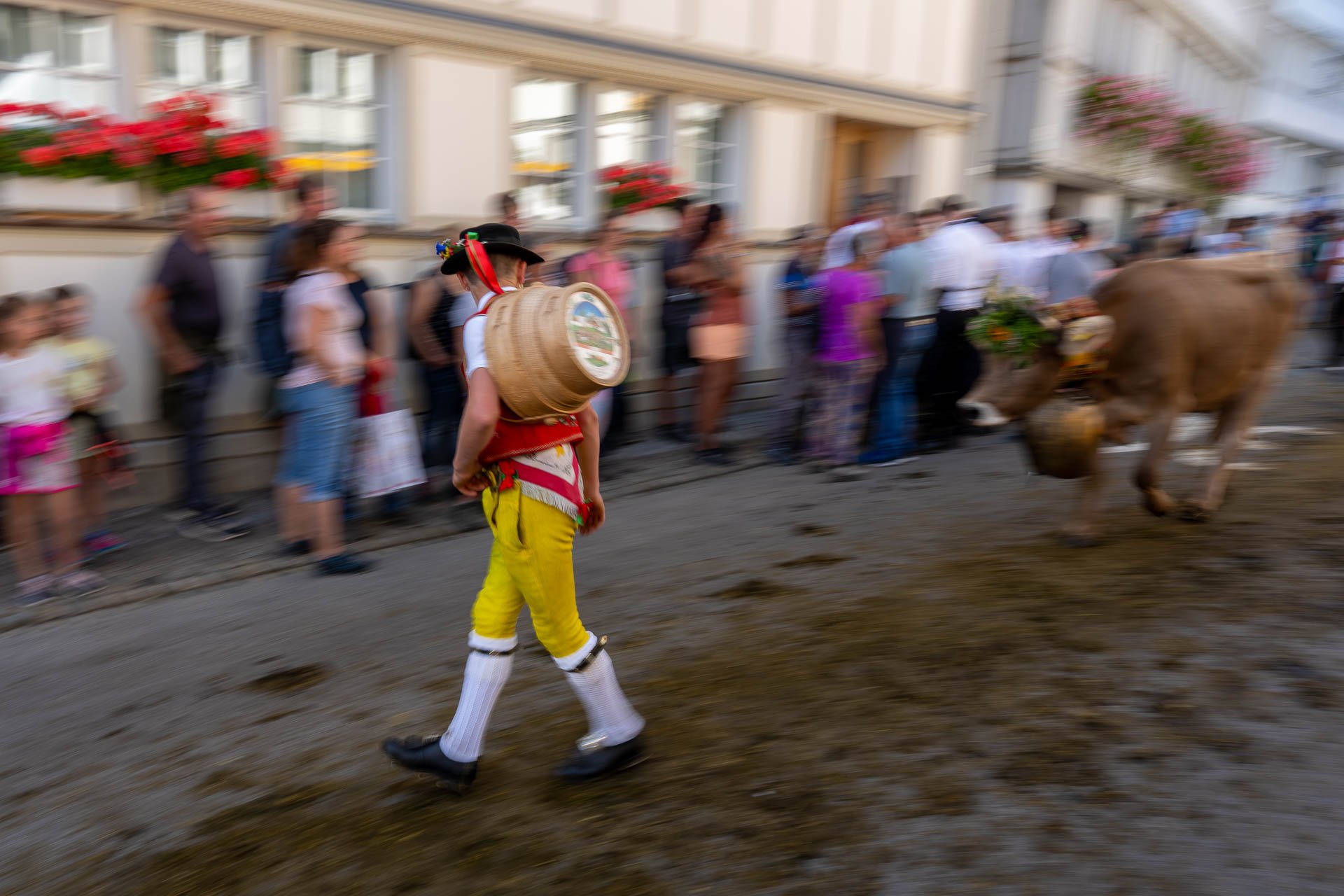 Jens-Zimmer-Photographie_ViehschauSchwellbrunn_CHE_20260928_105.jpg