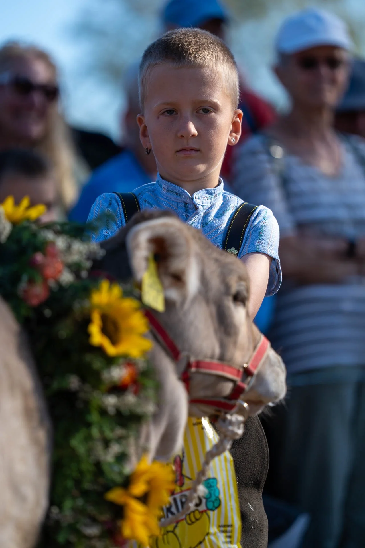 Jens-Zimmer-Photographie_ViehschauSchwellbrunn_CHE_20260928_039.jpg