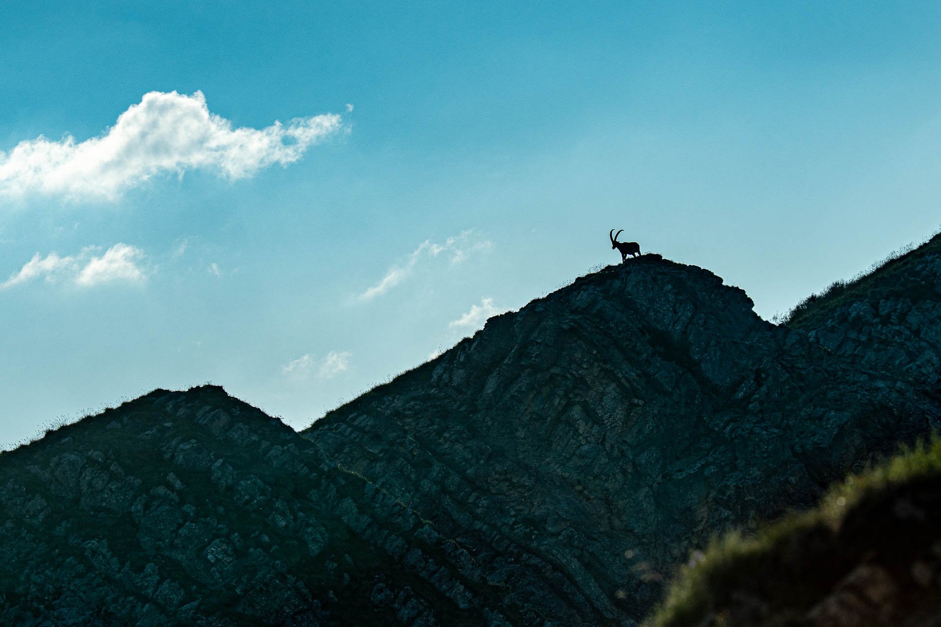 Jens-Zimmer-Photographie_BrienzerRothorn_CHE_20260729_003.jpg