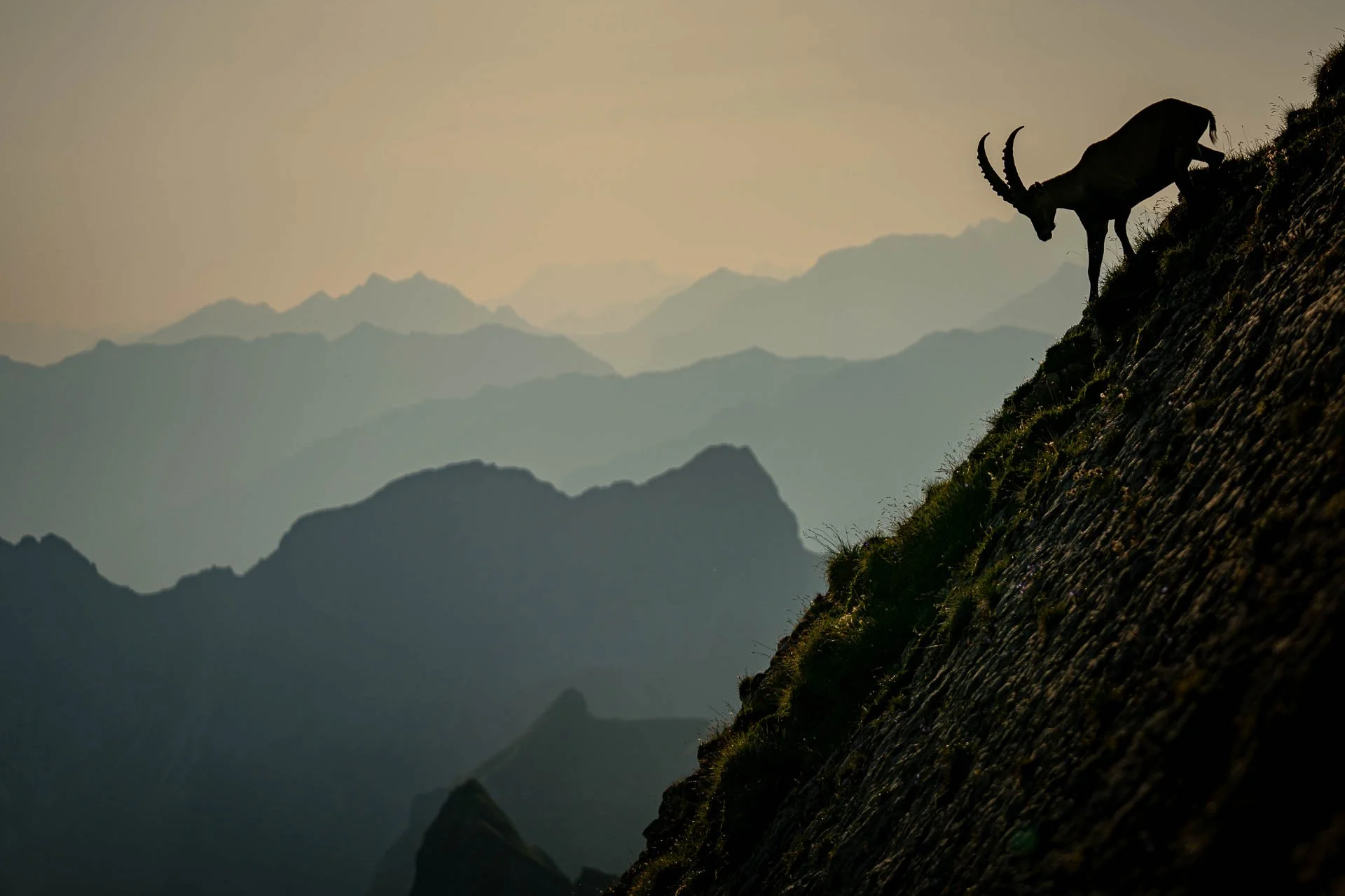 Jens-Zimmer-Photographie_BrienzerRothorn_CHE_20260730_030.jpg