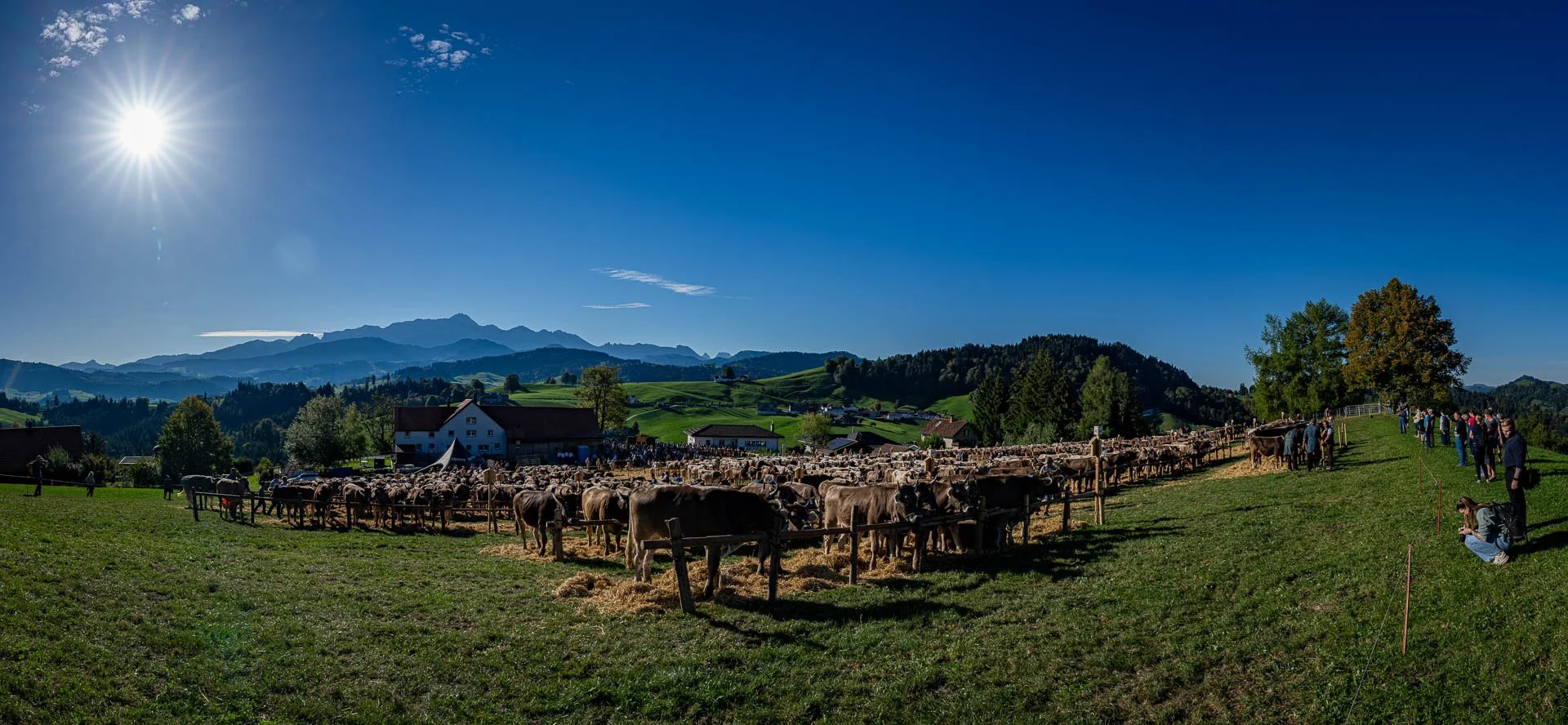 Jens-Zimmer-Photographie_ViehschauSchwellbrunn_CHE_20260928_031.jpg
