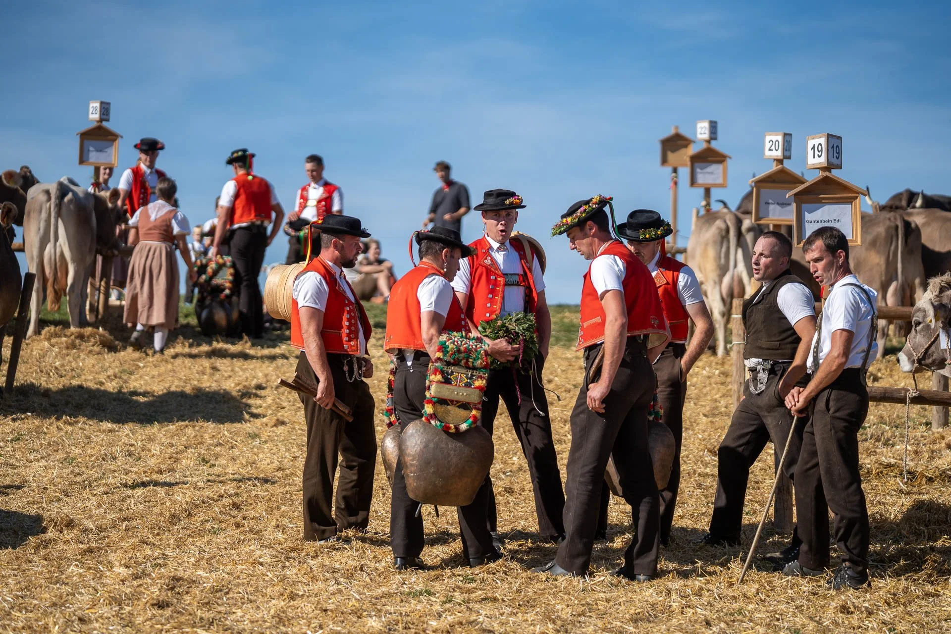 Jens-Zimmer-Photographie_ViehschauSchwellbrunn_CHE_20260928_082.jpg