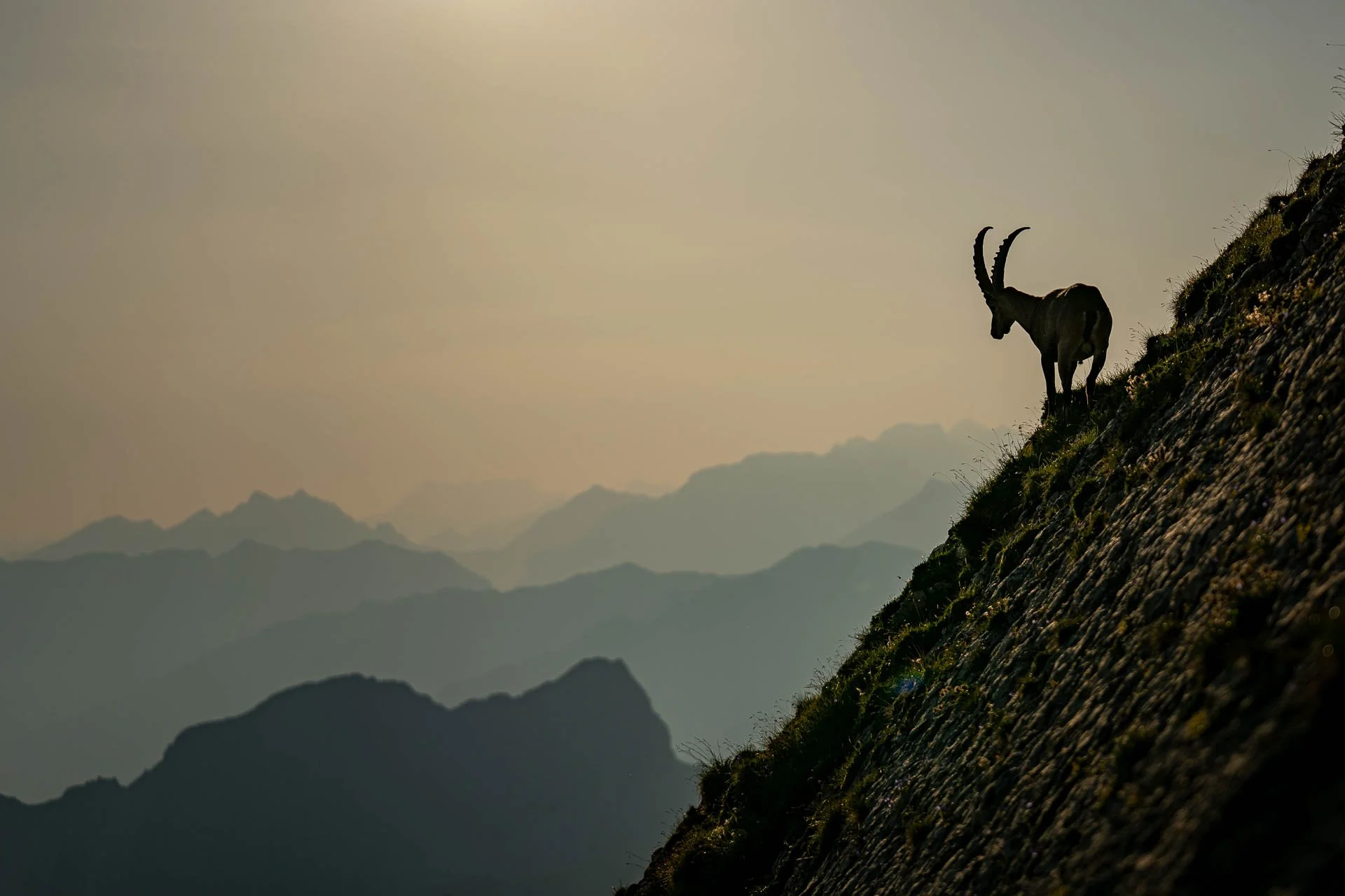 Jens-Zimmer-Photographie_BrienzerRothorn_CHE_20260730_029.jpg