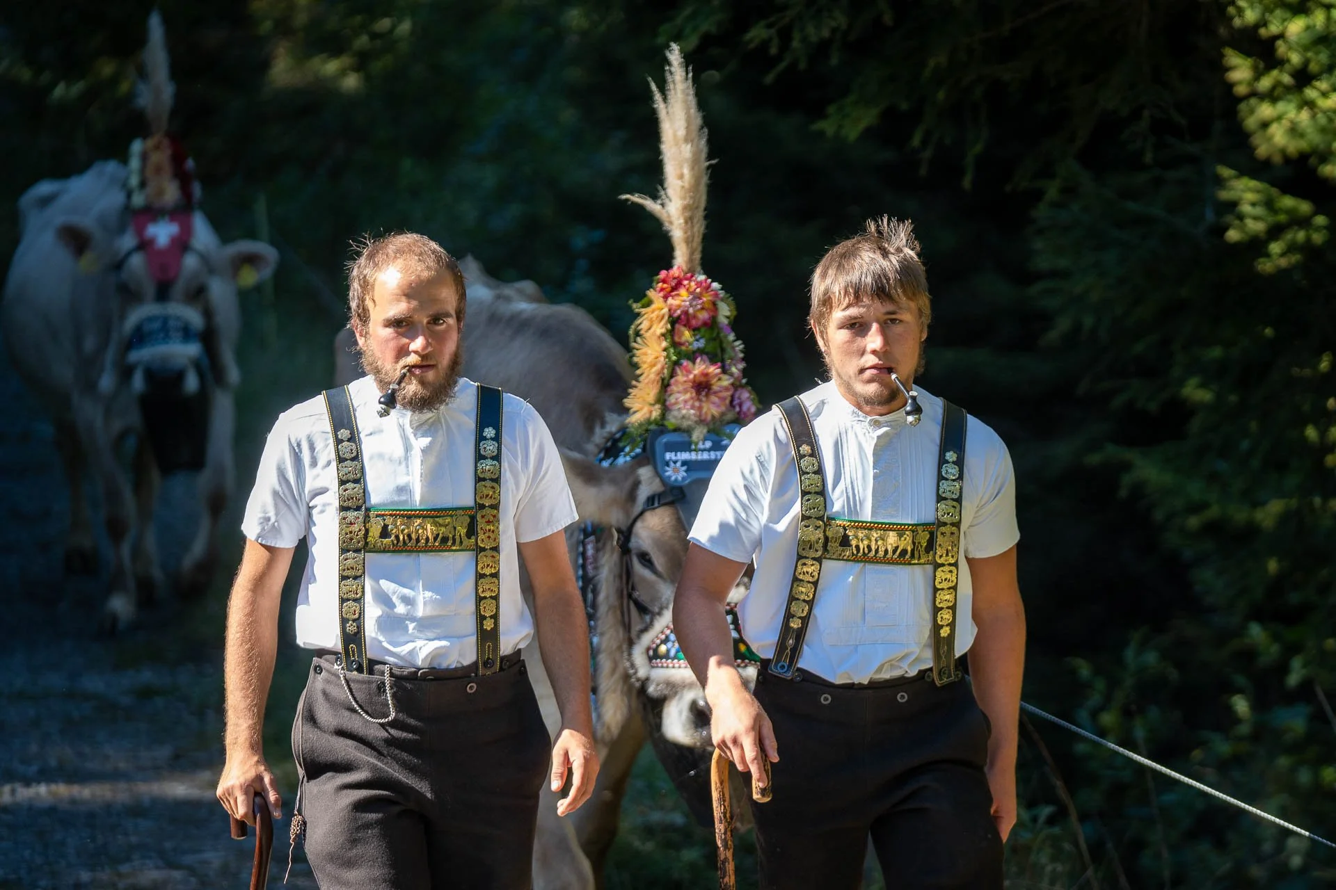 Jens-Zimmer-Photographie_AlpAbfahrtFlims_CHE_20260919_005.jpg