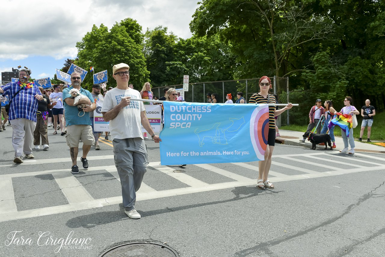 20240608-TaraCiriglianoPhotography_PoughkeepsiePride_133.jpg